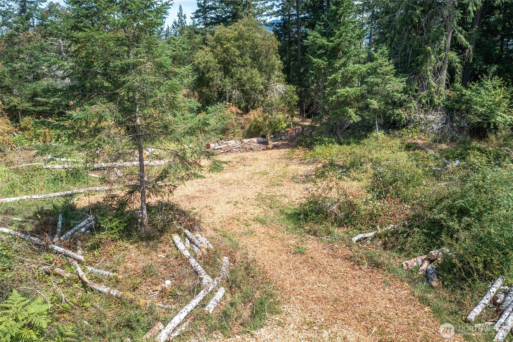 -lot B Lot B Spring Point Road Deer Harbor, WA 98243 - Photo 33 of 40 a view of a yard with plants and large trees