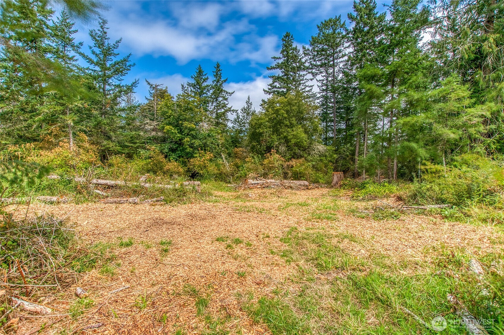 -lot B Lot B Spring Point Road Deer Harbor, WA 98243 - Photo 34 of 40 a view of backyard with green space