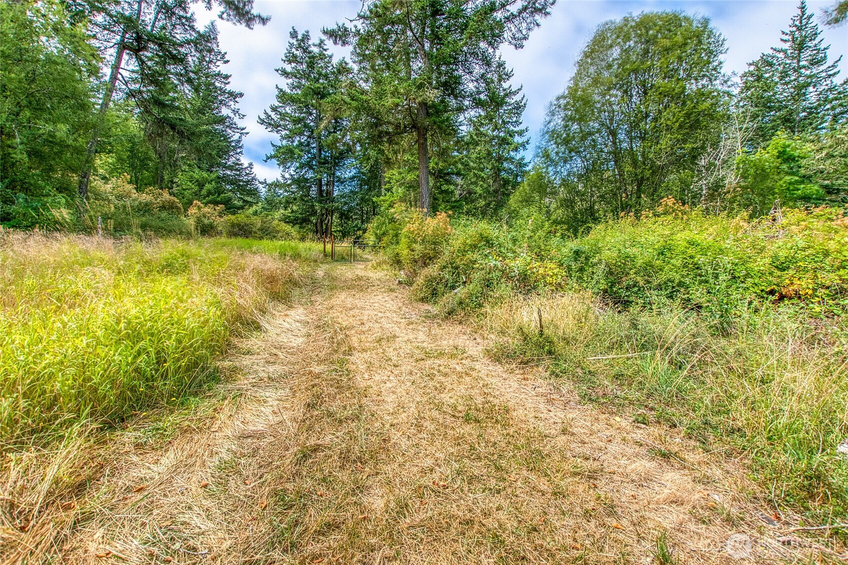 -lot B Lot B Spring Point Road Deer Harbor, WA 98243 - Photo 35 of 40 a view of yard with green space and trees all around