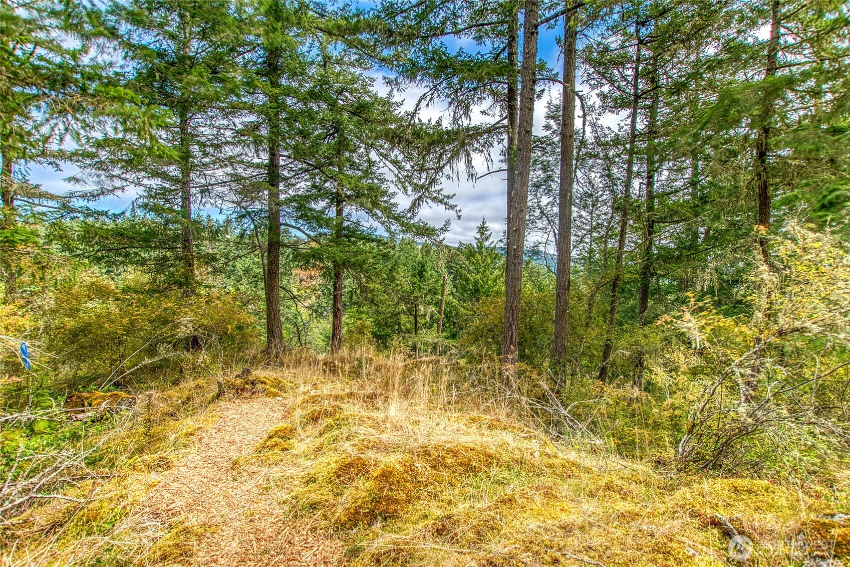 -lot B Lot B Spring Point Road Deer Harbor, WA 98243 - Photo 36 of 40