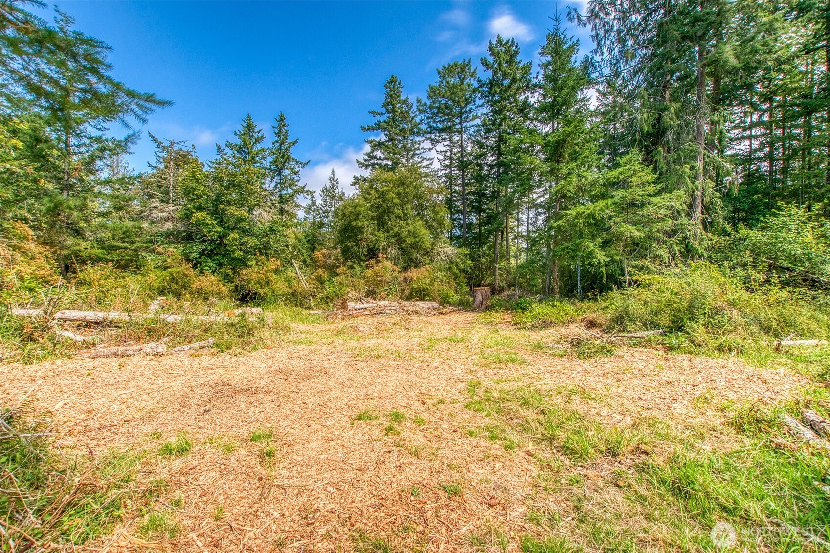 -lot B Lot B Spring Point Road Deer Harbor, WA 98243 - Photo 4 of 40 a view of a yard with an trees and plants
