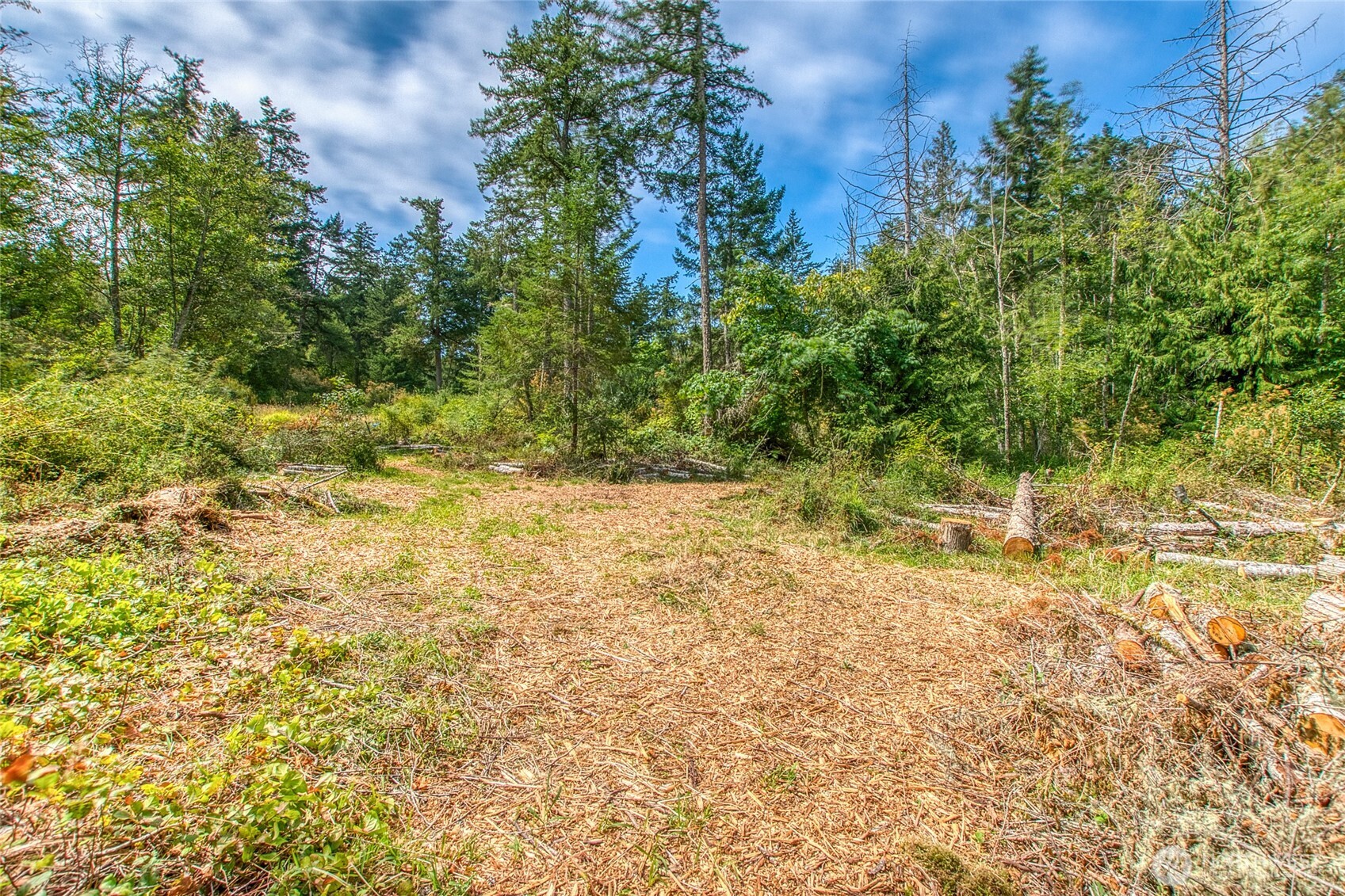 -lot B Lot B Spring Point Road Deer Harbor, WA 98243 - Photo 5 of 40 a view of a yard with plants and trees