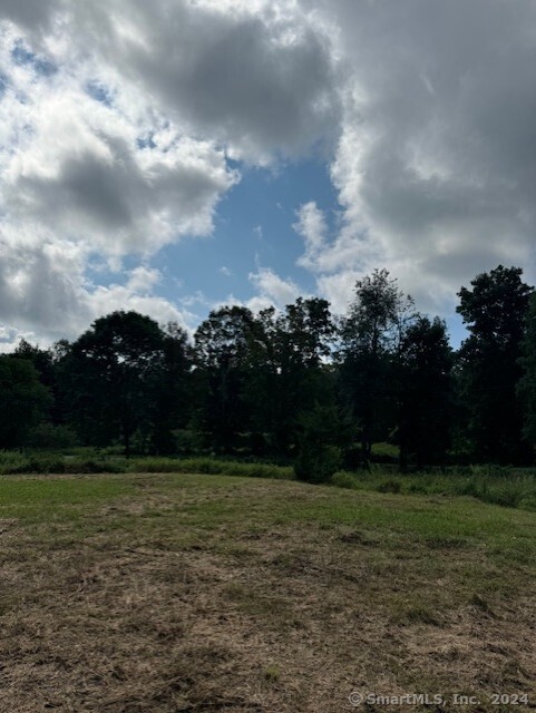 8 A Taber Road Sherman, CT 06784 - Photo 12 of 21 a view of yard