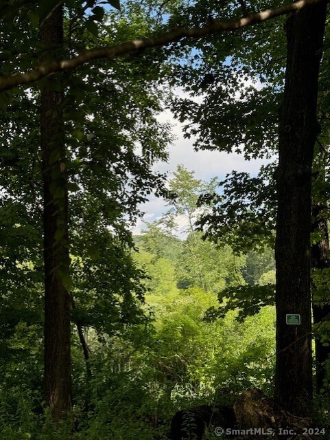 8 A Taber Road Sherman, CT 06784 - Photo 14 of 21 a view of a tree