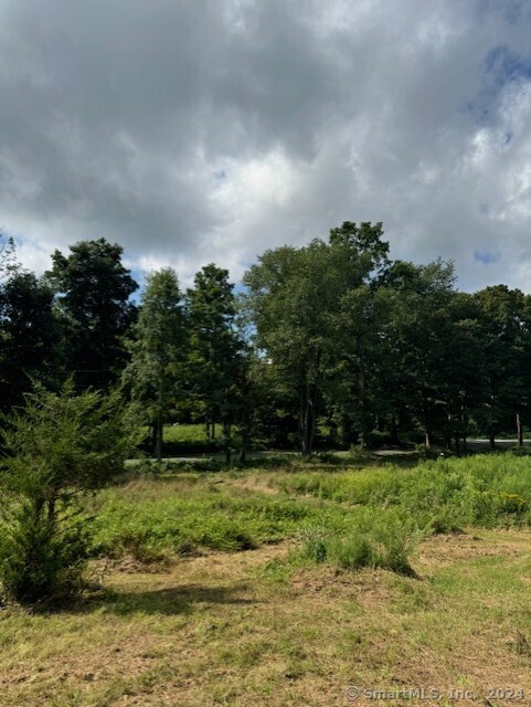 8 A Taber Road Sherman, CT 06784 - Photo 20 of 21 a backyard of a house with lots of green space