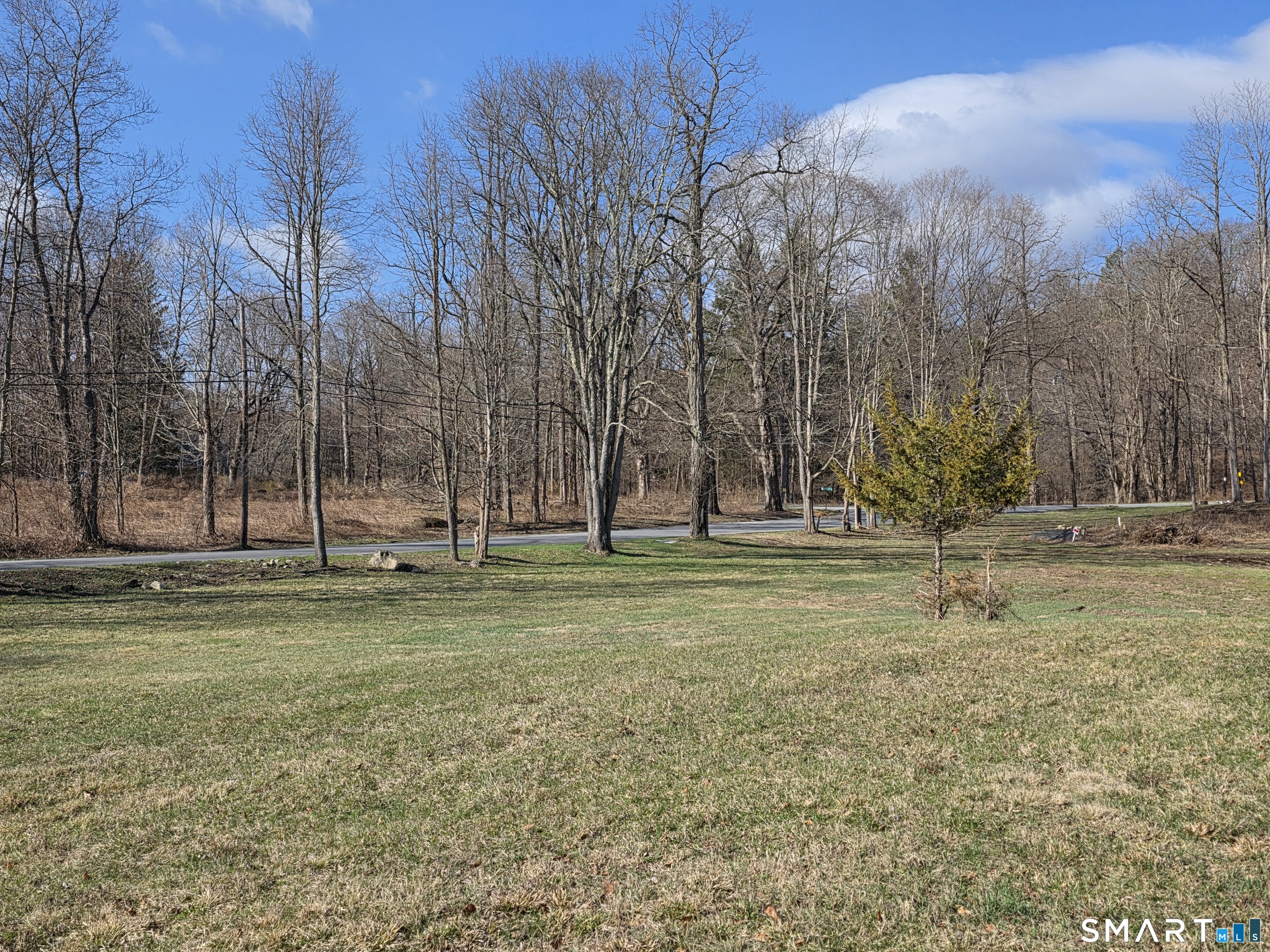 8 A Taber Road Sherman, CT 06784 - Photo 2 of 21 a view of a garden with trees