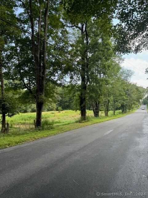 8 A Taber Road Sherman, CT 06784 - Photo 7 of 21 a view of road with large trees