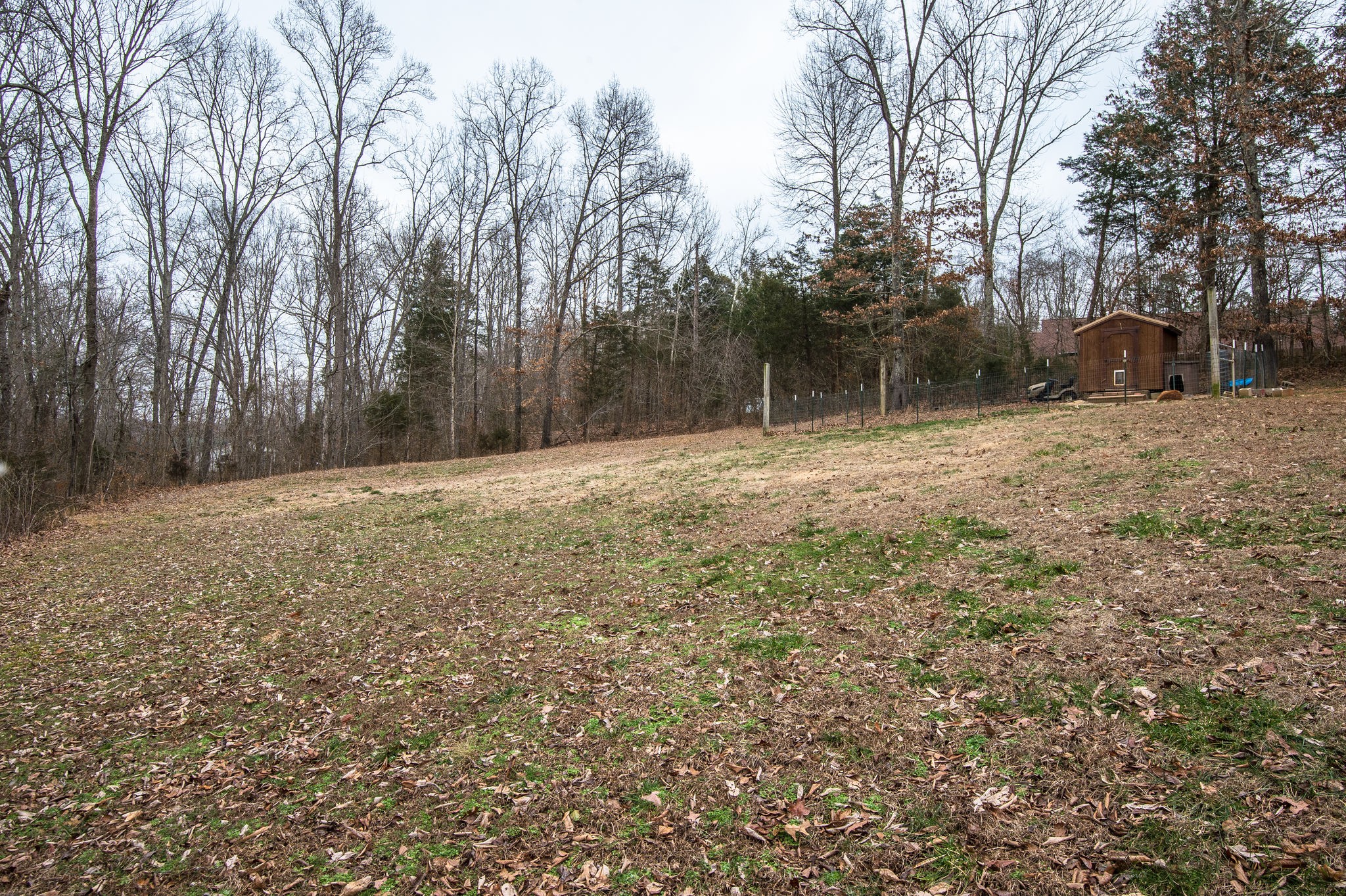 711 Franklin Road Charlotte, TN 37036 - Photo 7 of 32 Gallery Image 7