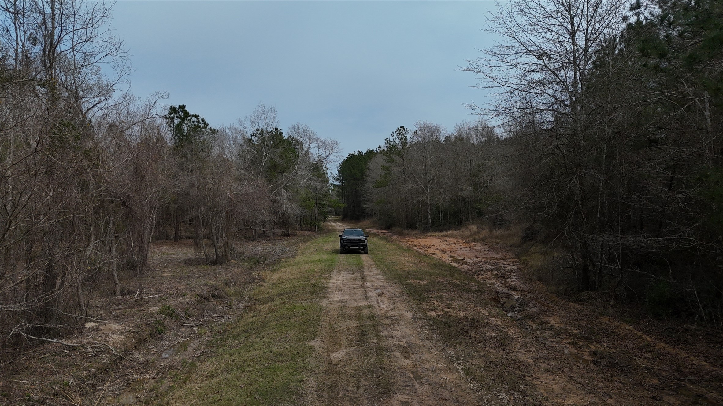 0 County Line Road Shepherd, TX 77371 - Photo 11 of 19