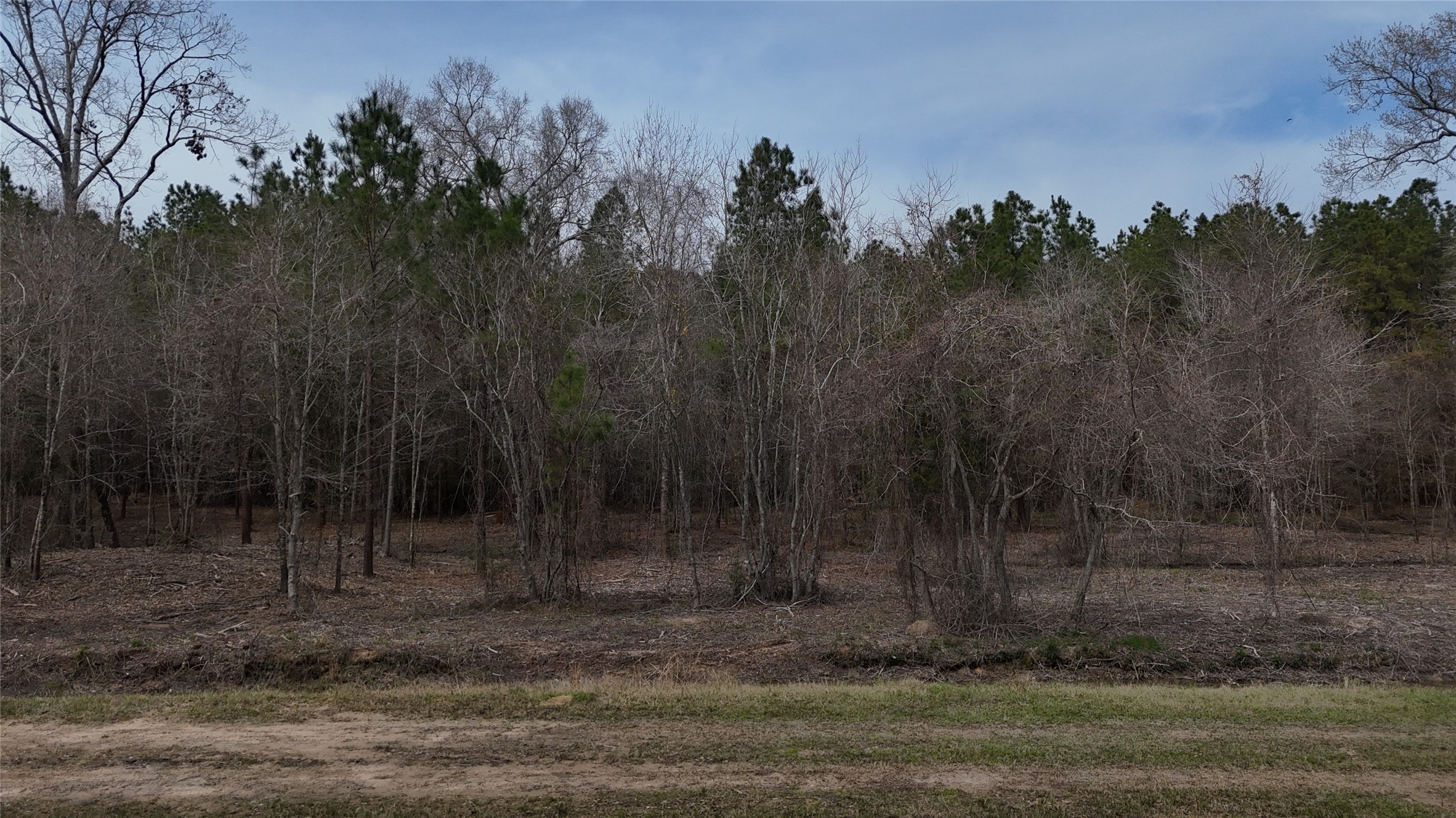 0 County Line Road Shepherd, TX 77371 - Photo 13 of 19