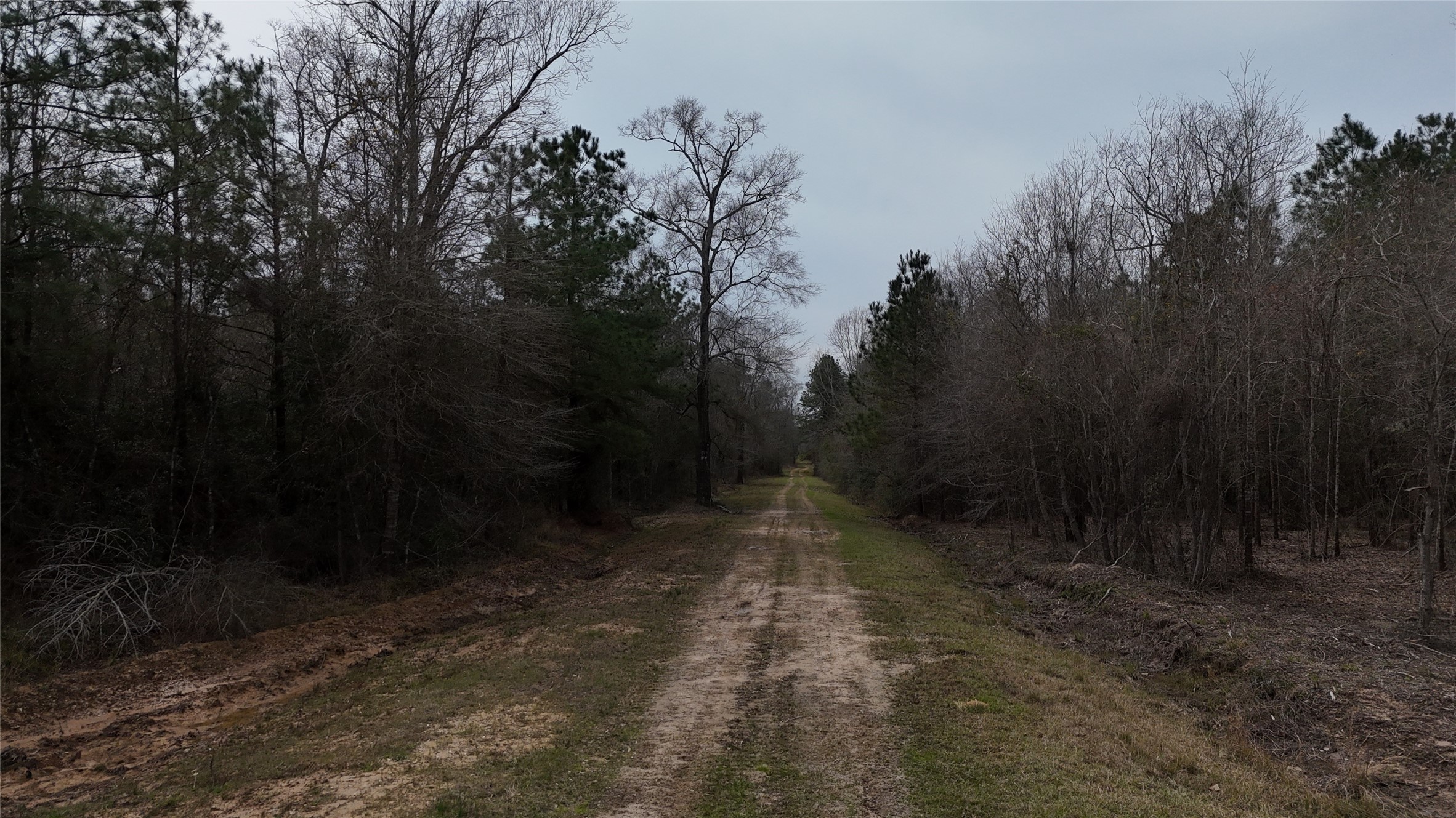 0 County Line Road Shepherd, TX 77371 - Photo 14 of 19