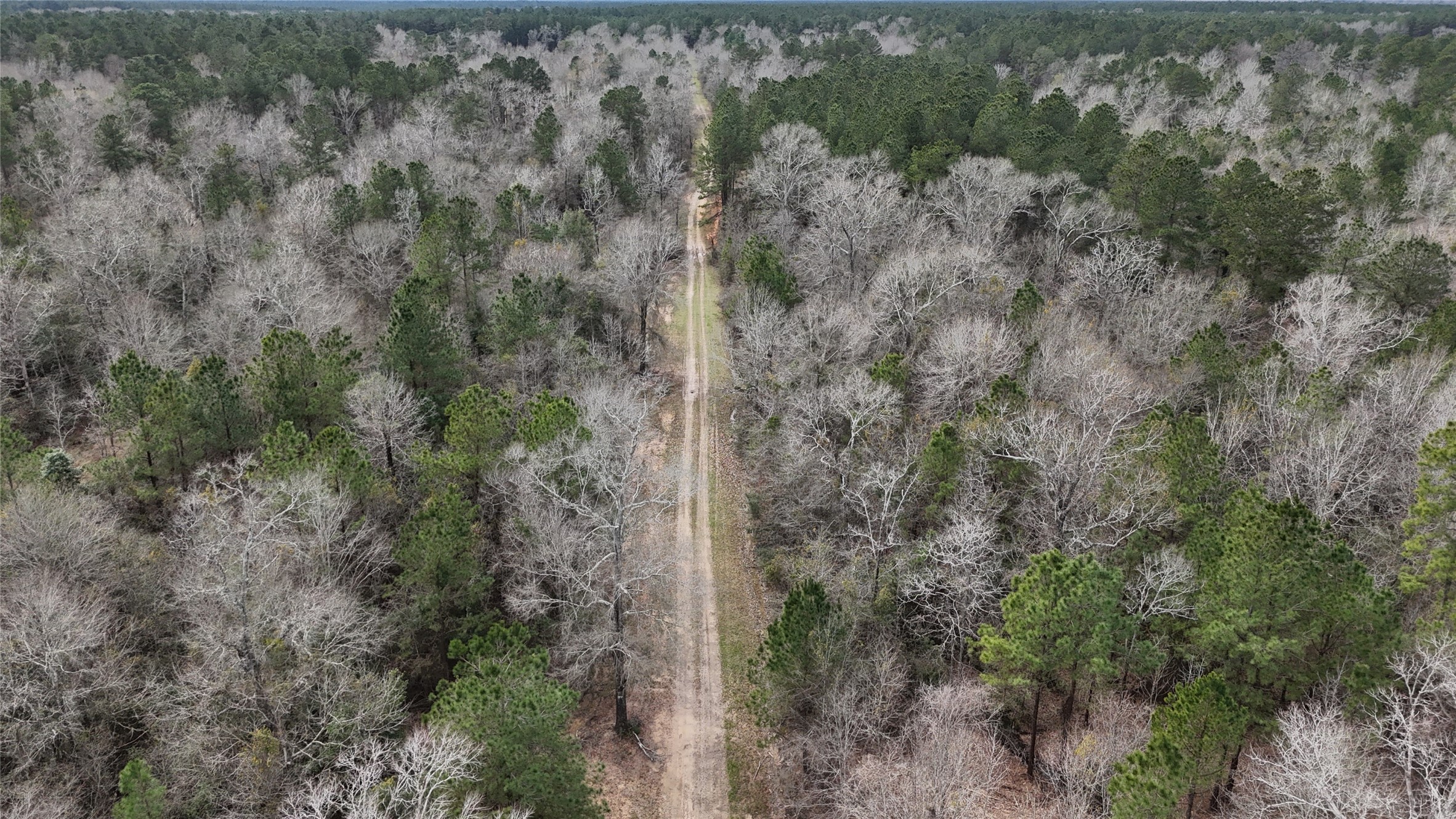 0 County Line Road Shepherd, TX 77371 - Photo 15 of 19
