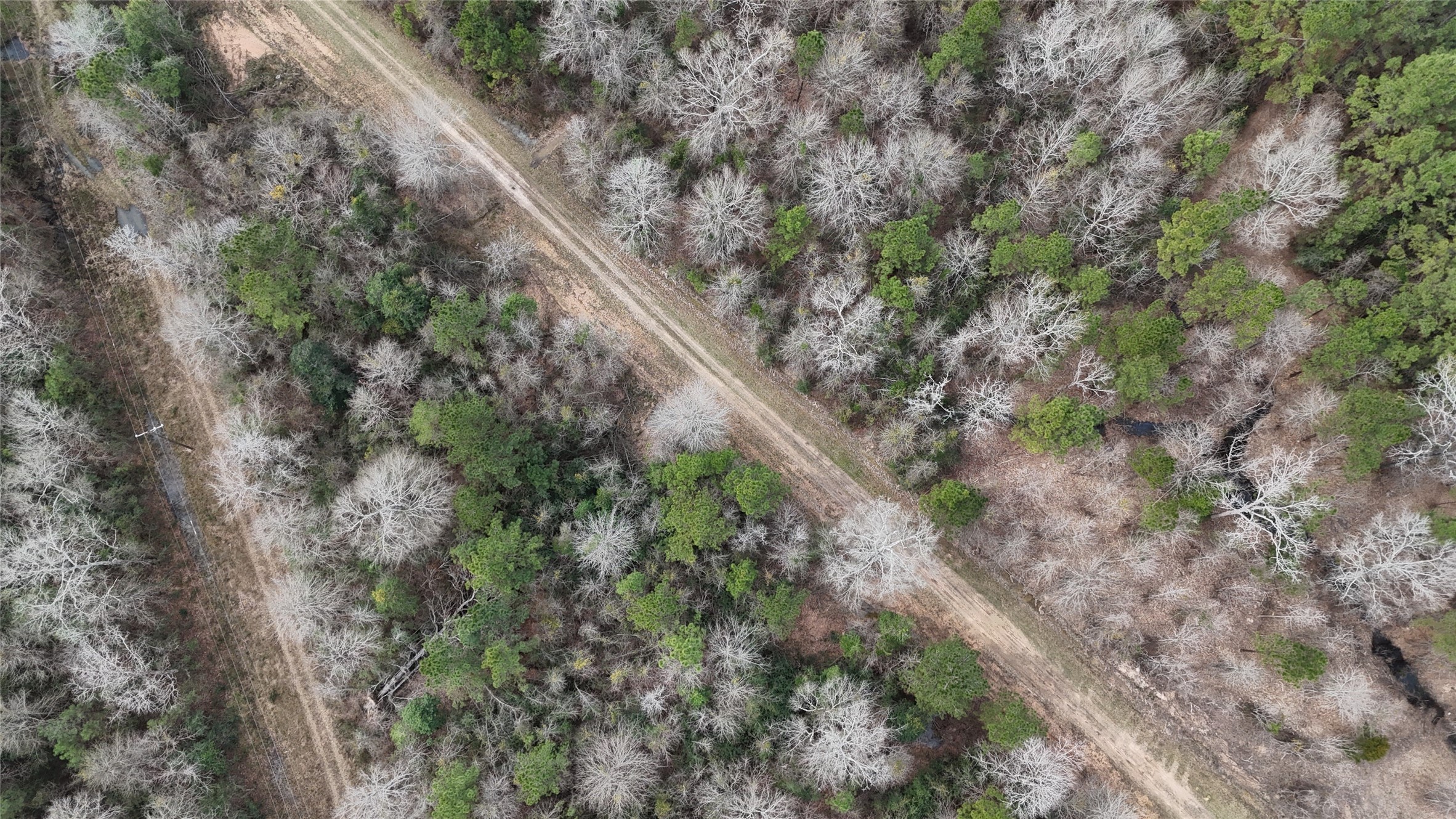 0 County Line Road Shepherd, TX 77371 - Photo 16 of 19