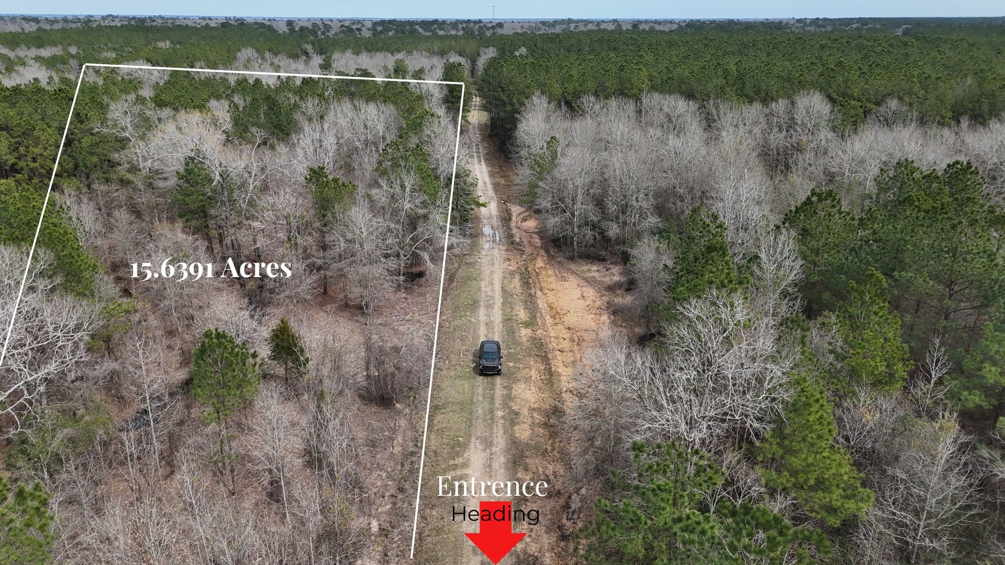 0 County Line Road Shepherd, TX 77371 - Photo 3 of 19