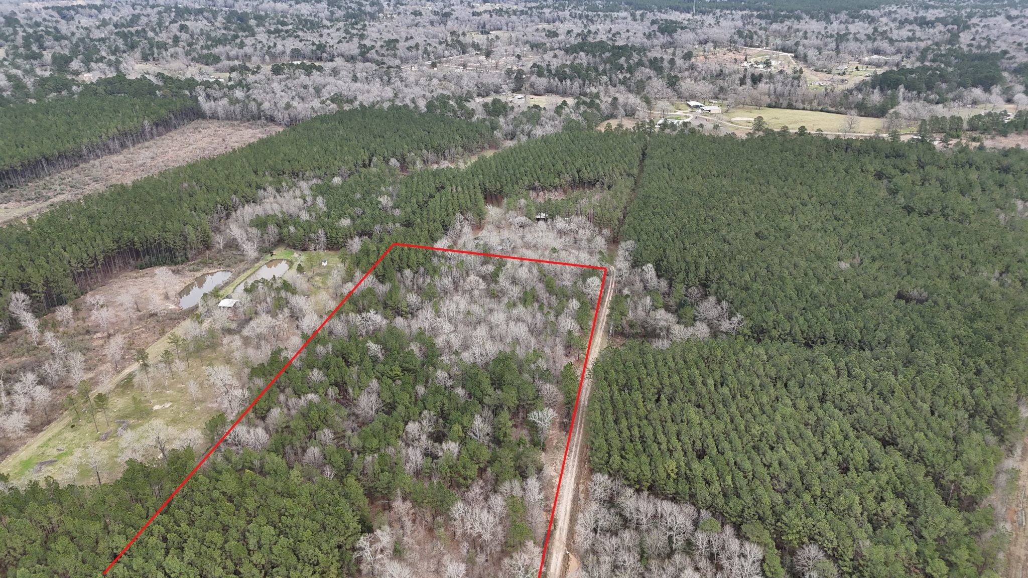 0 County Line Road Shepherd, TX 77371 - Photo 4 of 19