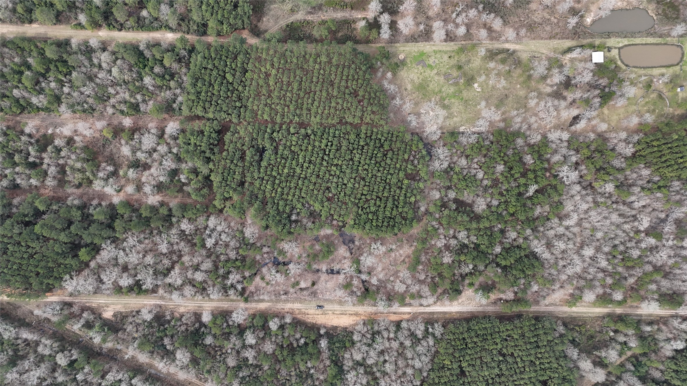 0 County Line Road Shepherd, TX 77371 - Photo 5 of 19