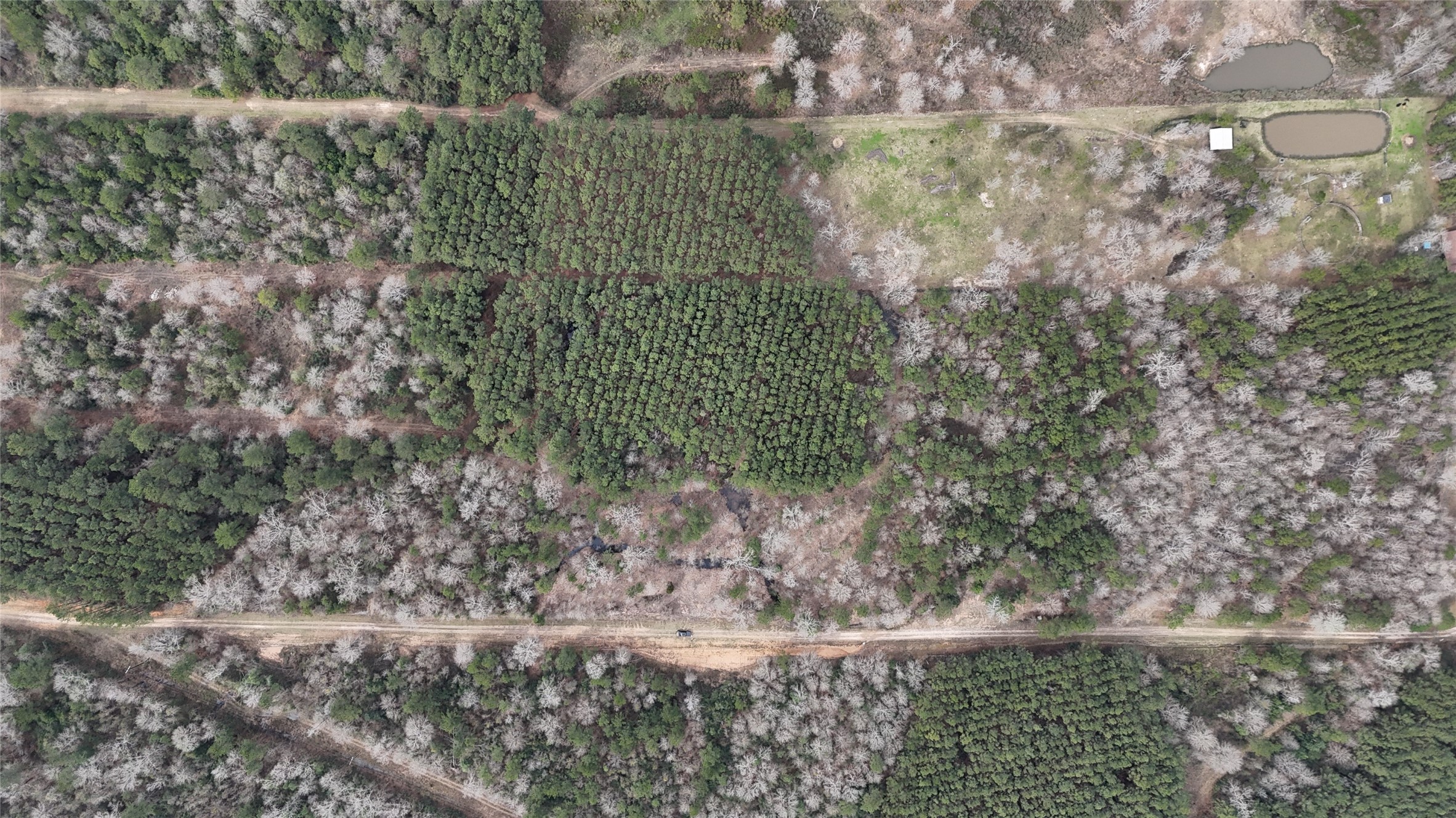 0 County Line Road Shepherd, TX 77371 - Photo 6 of 19