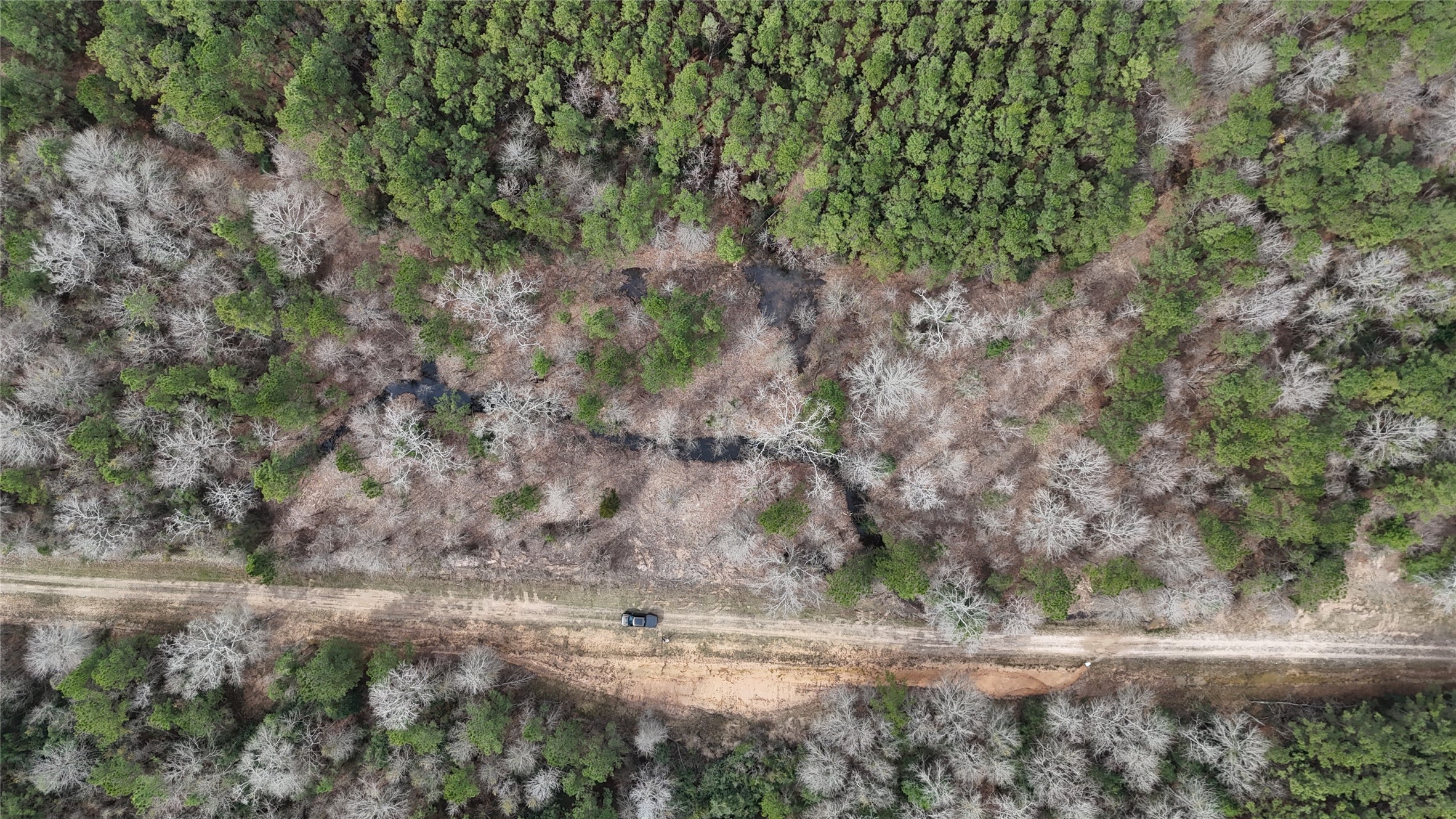 0 County Line Road Shepherd, TX 77371 - Photo 7 of 19