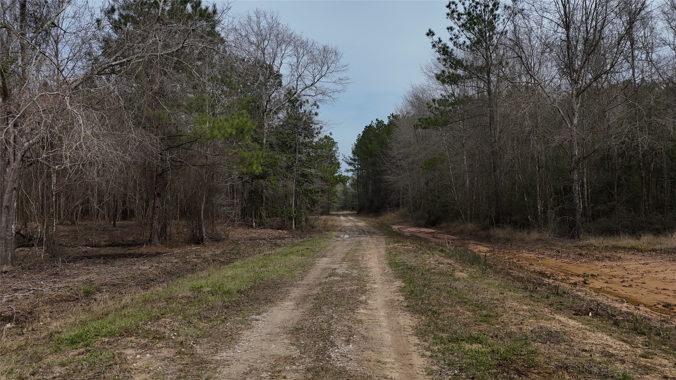 0 County Line Road Shepherd, TX 77371 - Photo 8 of 19