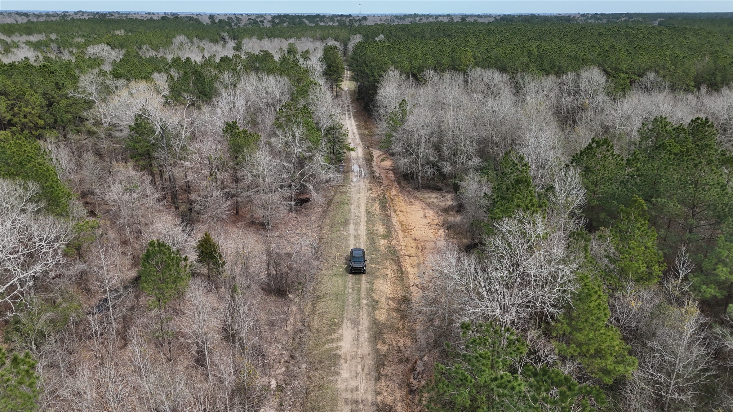 0 County Line Road Shepherd, TX 77371 - Photo 9 of 19