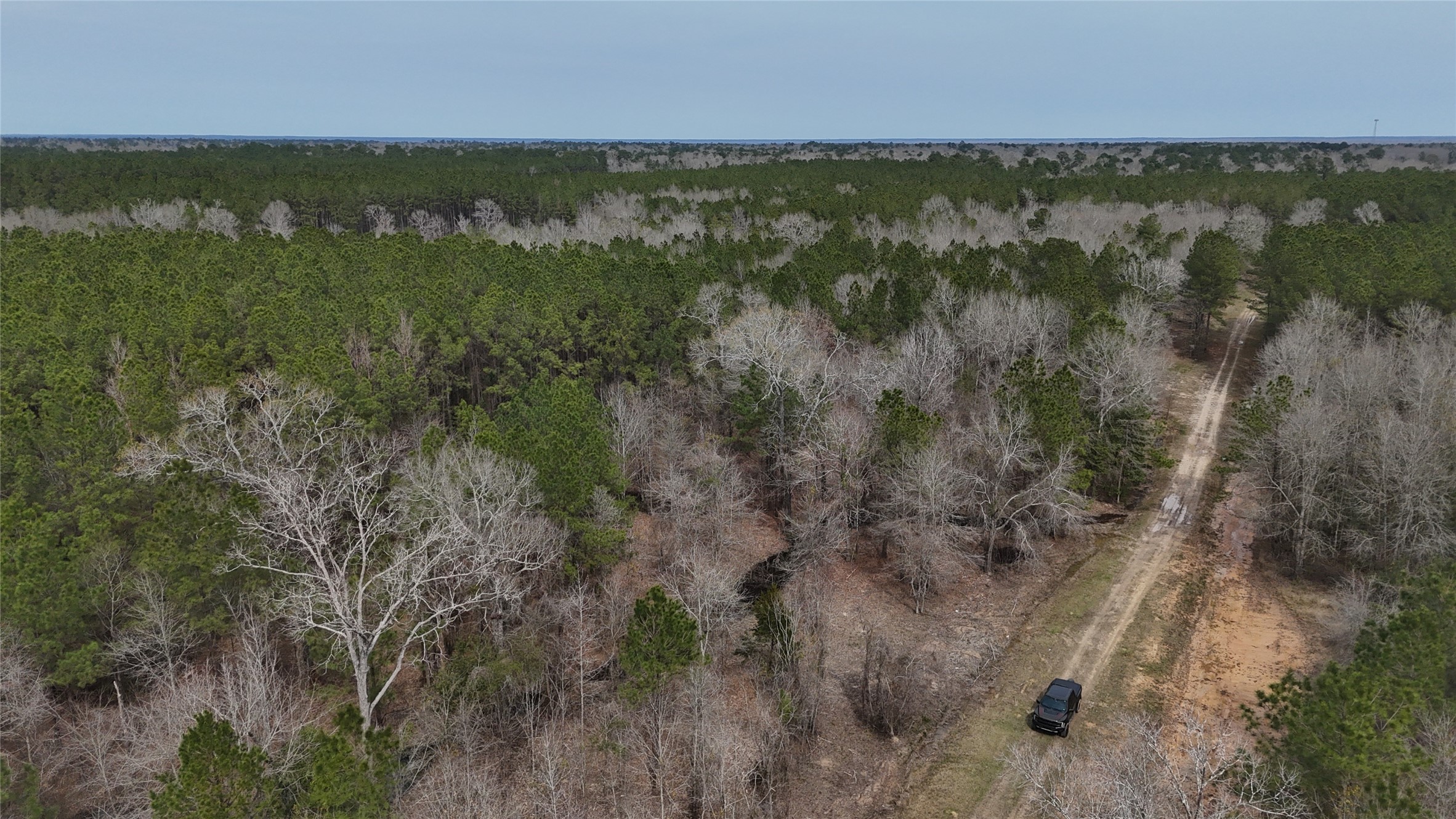 0 County Line Road Shepherd, TX 77371 - Photo 10 of 19