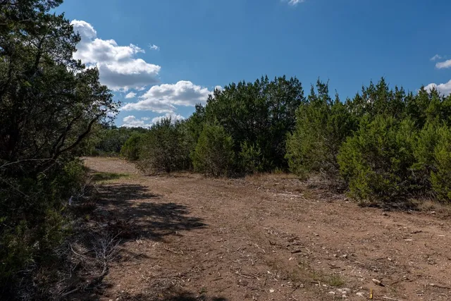 a view of a yard with a tree