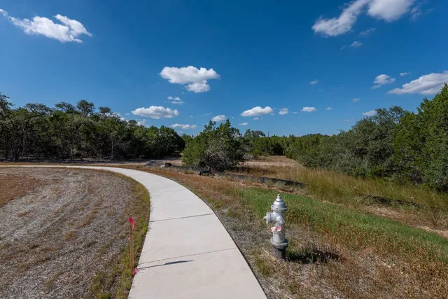 a view of a dry yard with lots of green space