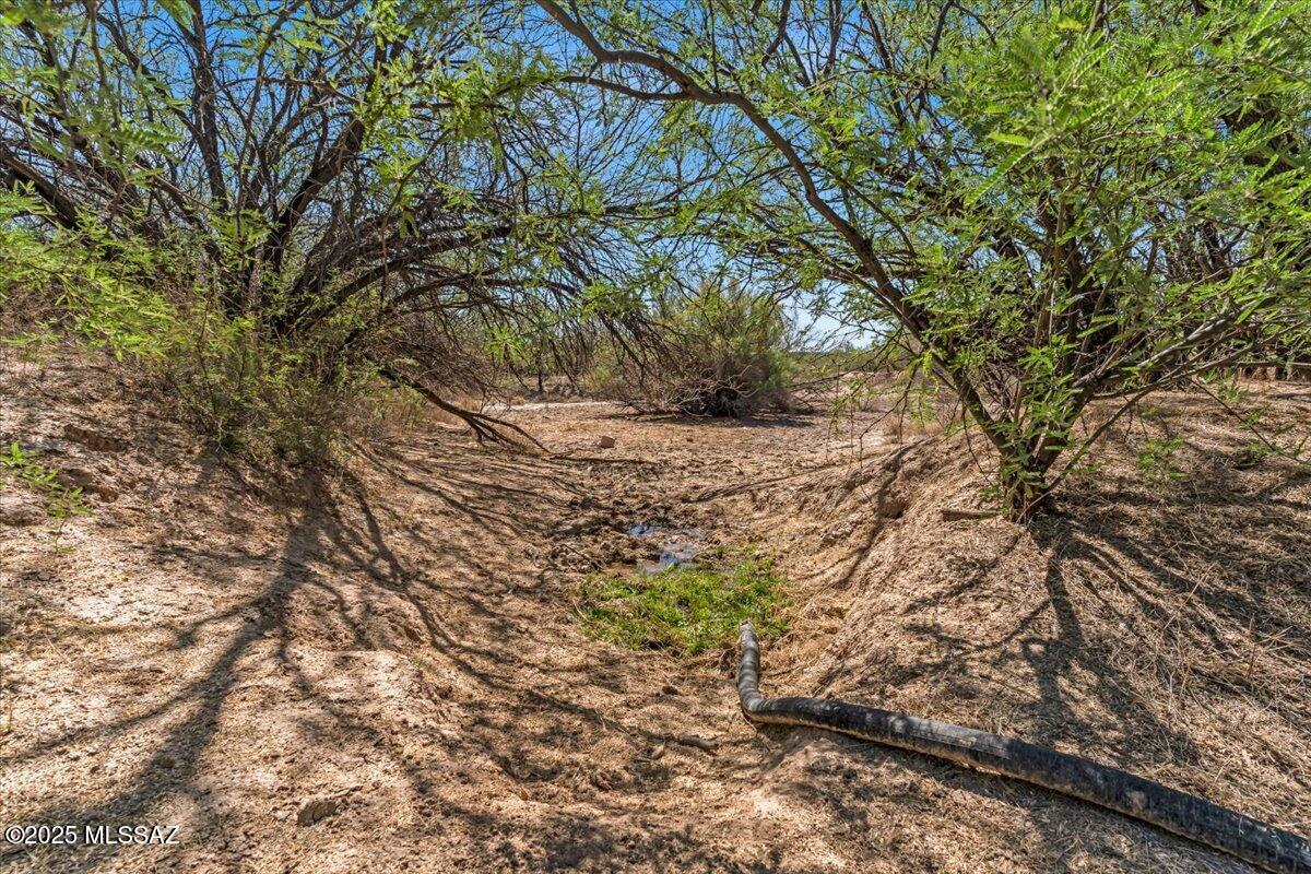 16180 Redington Road Benson, AZ 85602 - Photo 10 of 17 a view of a forest with trees