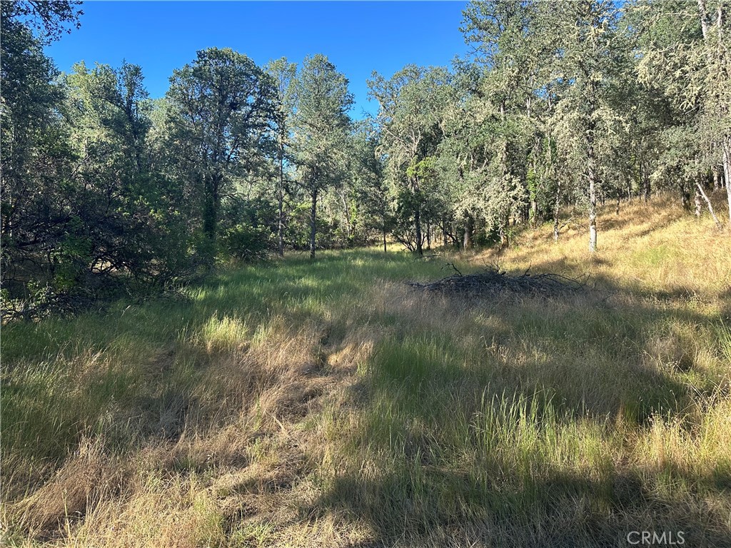 2995 Hill Road Lakeport, CA 95453 - Photo 8 of 12