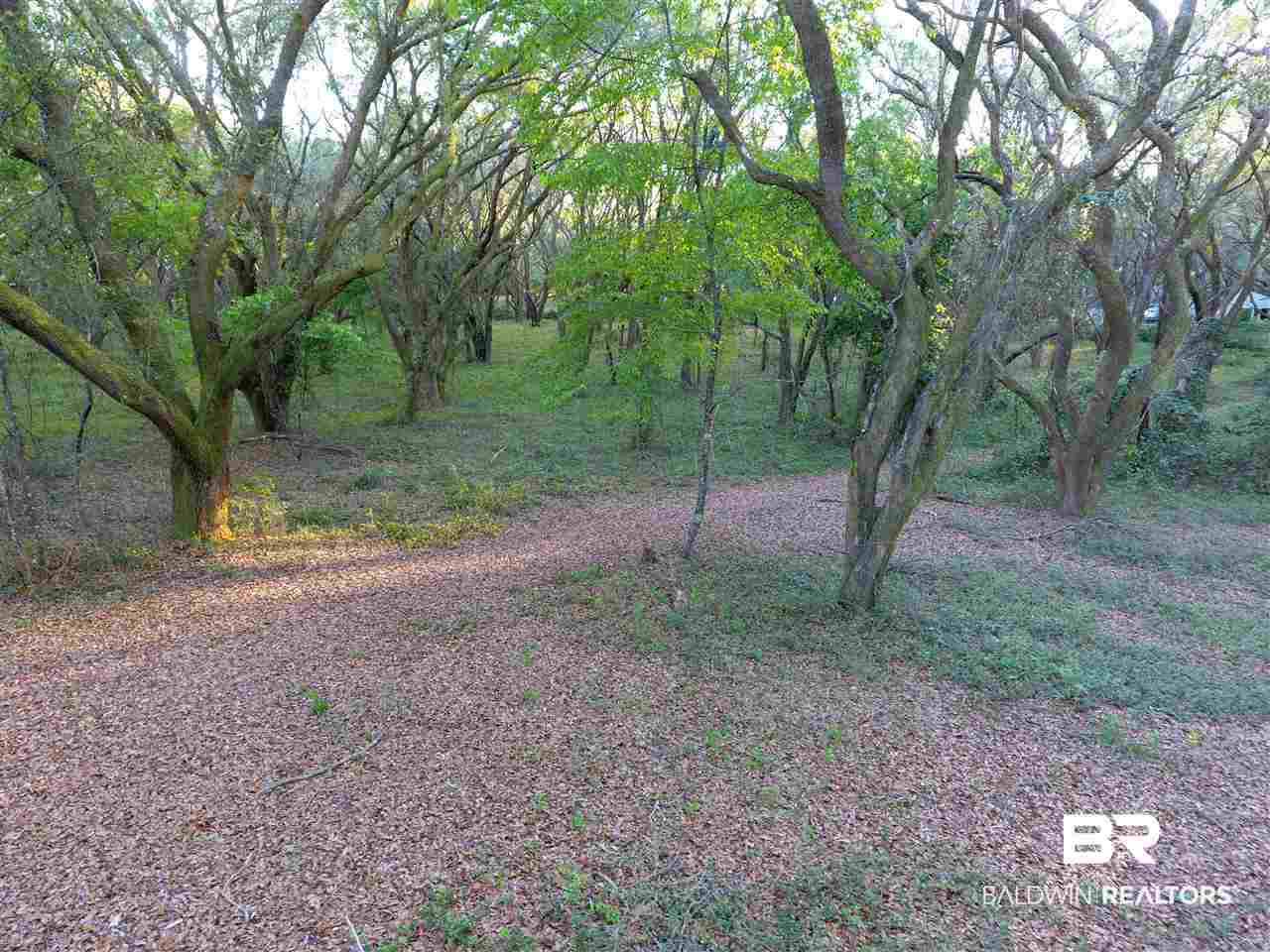 9690 Sherman Road Foley, AL 36535 - Photo 3 of 19