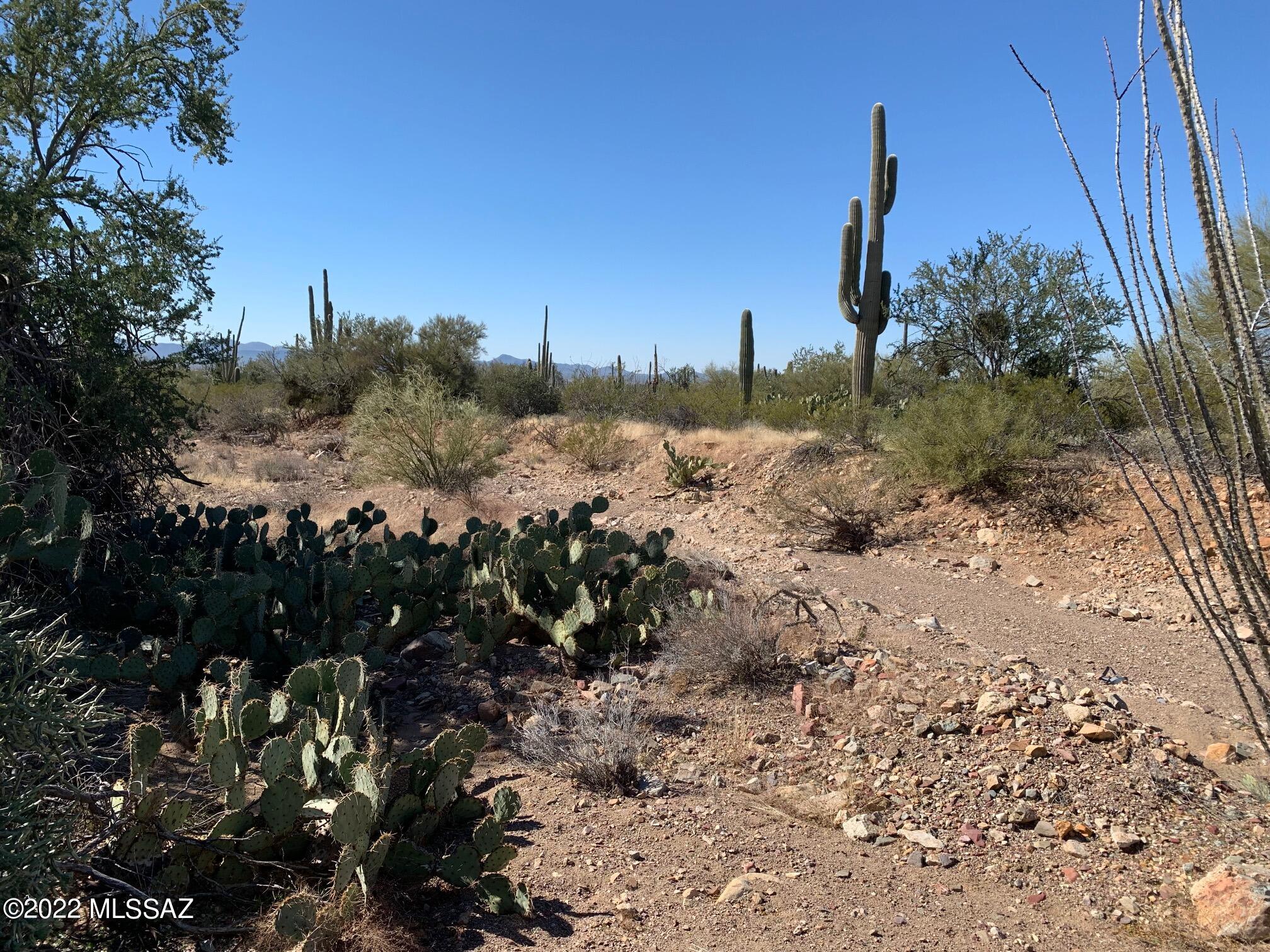 19-acres West Mile Wide Road, Unit B Tucson, AZ 85743 - Photo 9 of 19