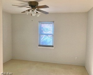 5247 Bridgewater Road Lyndhurst, OH 44124 - Photo 8 of 18 Gallery Image 8