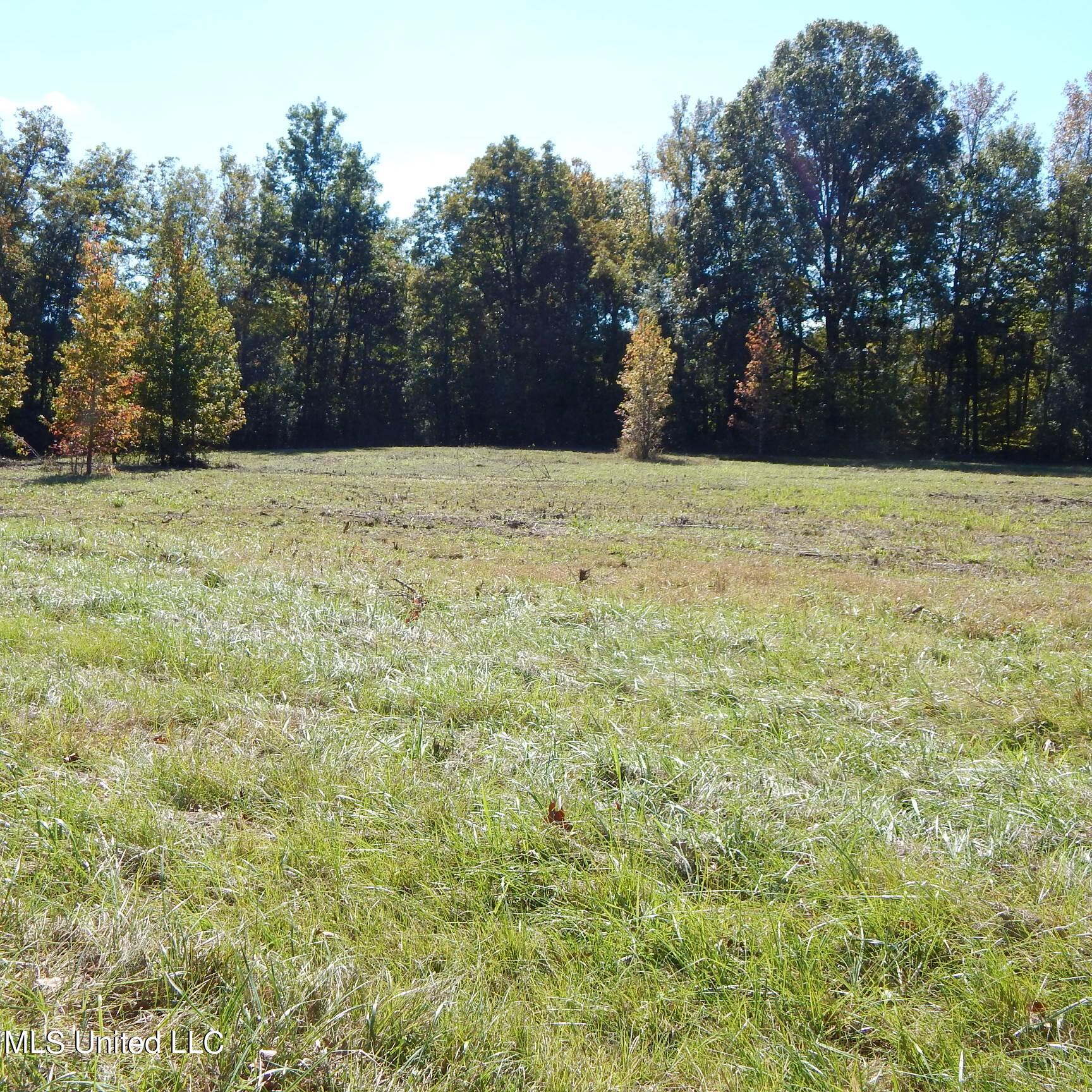 741 Jeff Sanders Road Batesville, MS 38606 - Photo 12 of 43 Jeff Sanders 108 009