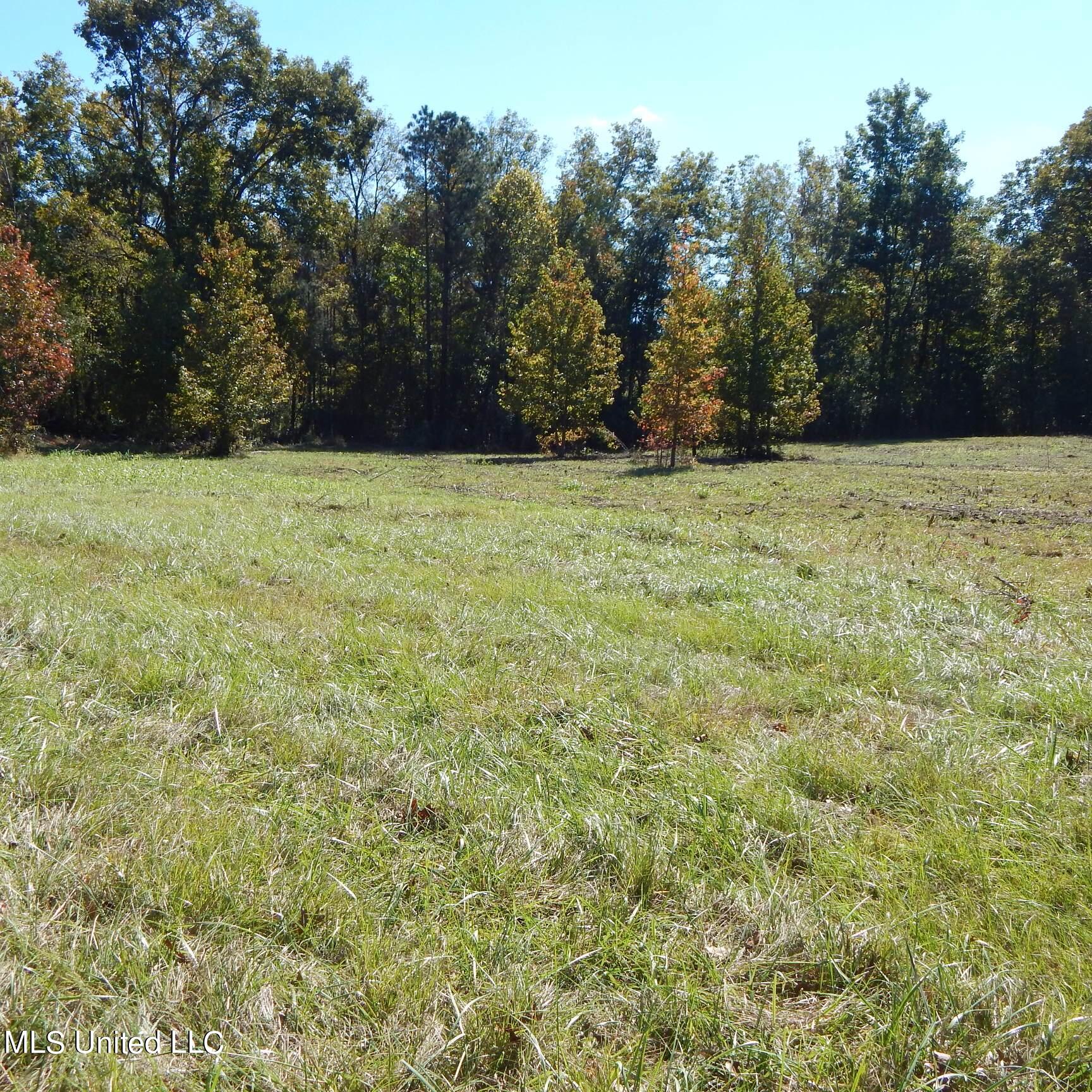 741 Jeff Sanders Road Batesville, MS 38606 - Photo 13 of 43 Jeff Sanders 108 010