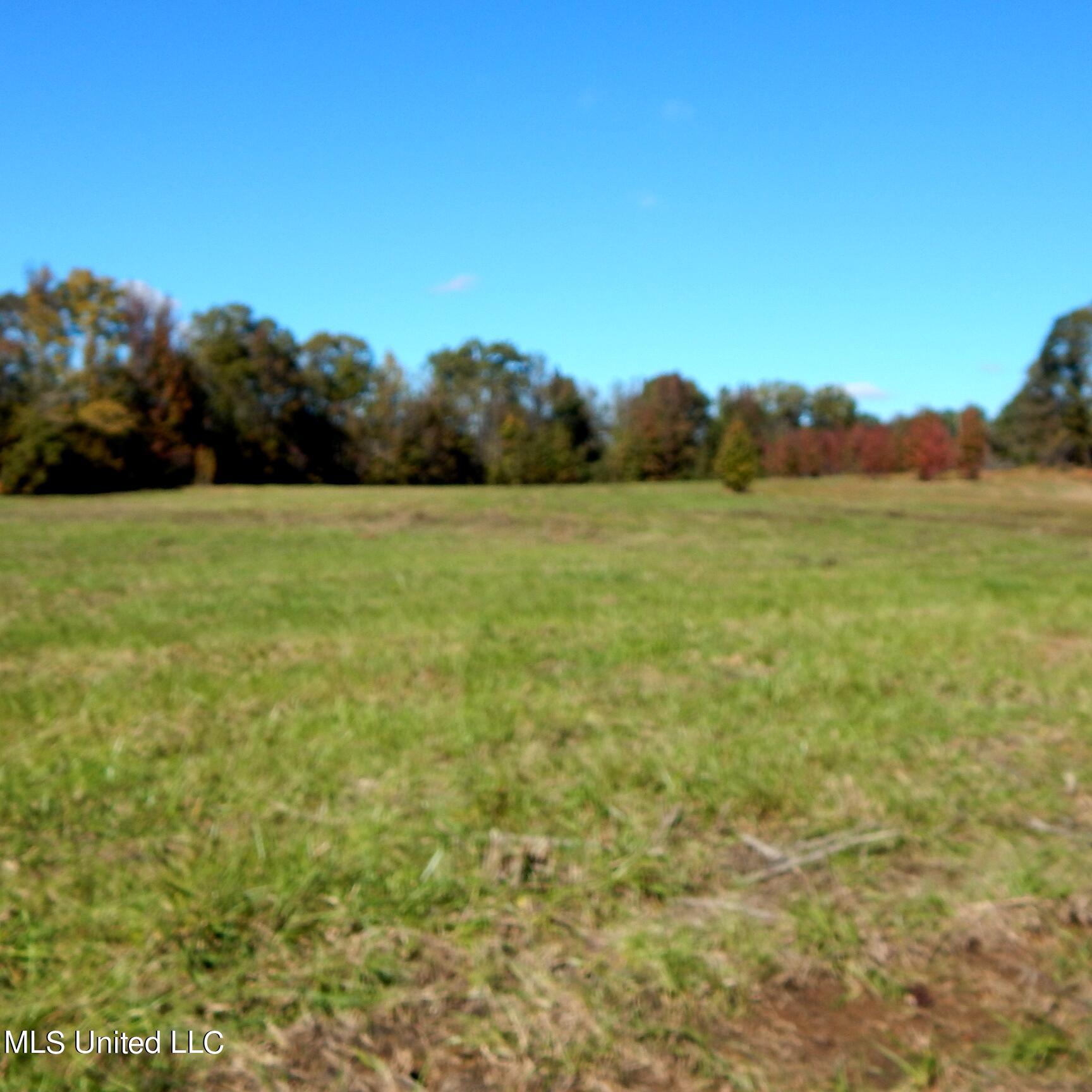 741 Jeff Sanders Road Batesville, MS 38606 - Photo 14 of 43 Jeff Sanders 108 012