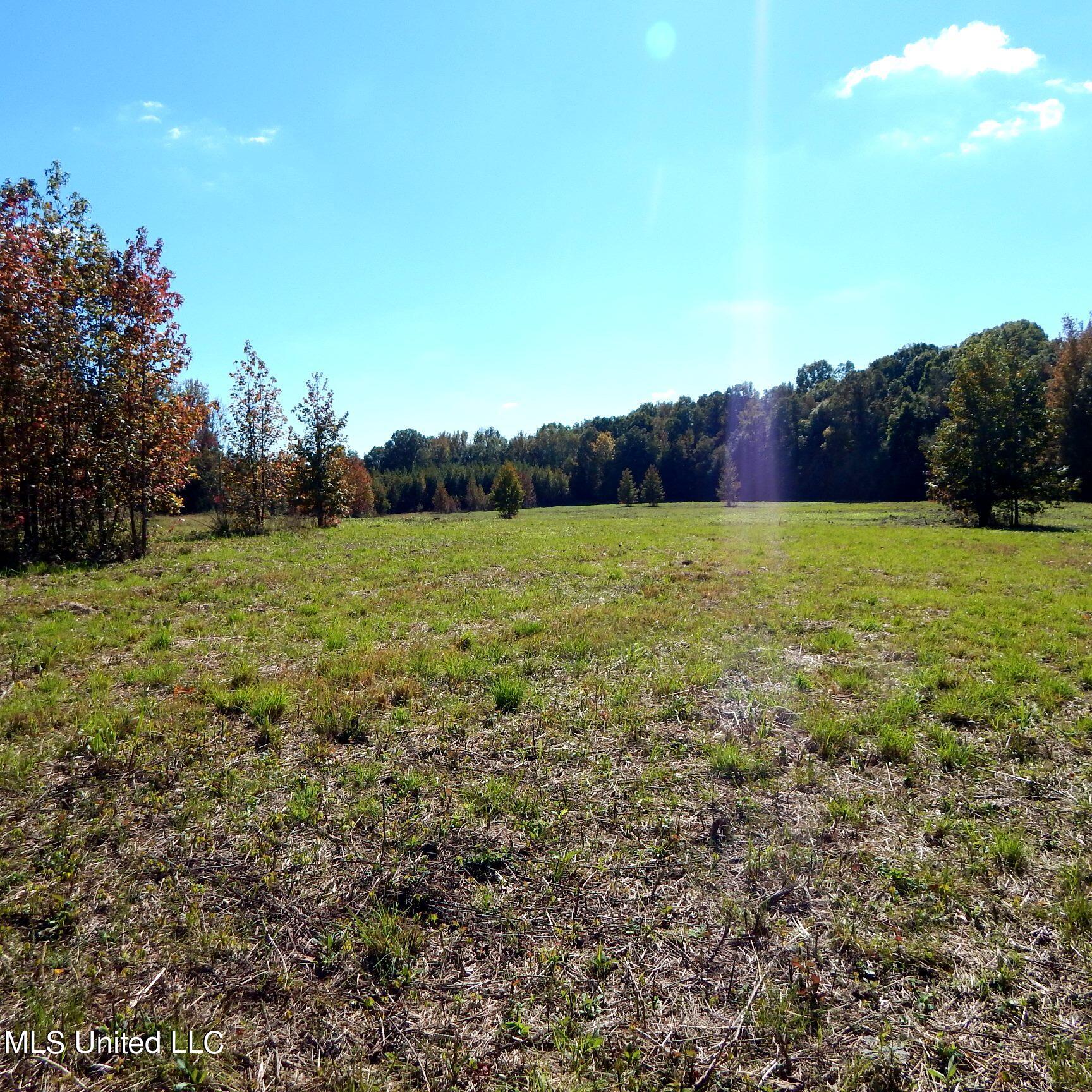 741 Jeff Sanders Road Batesville, MS 38606 - Photo 15 of 43 Jeff Sanders 108 016