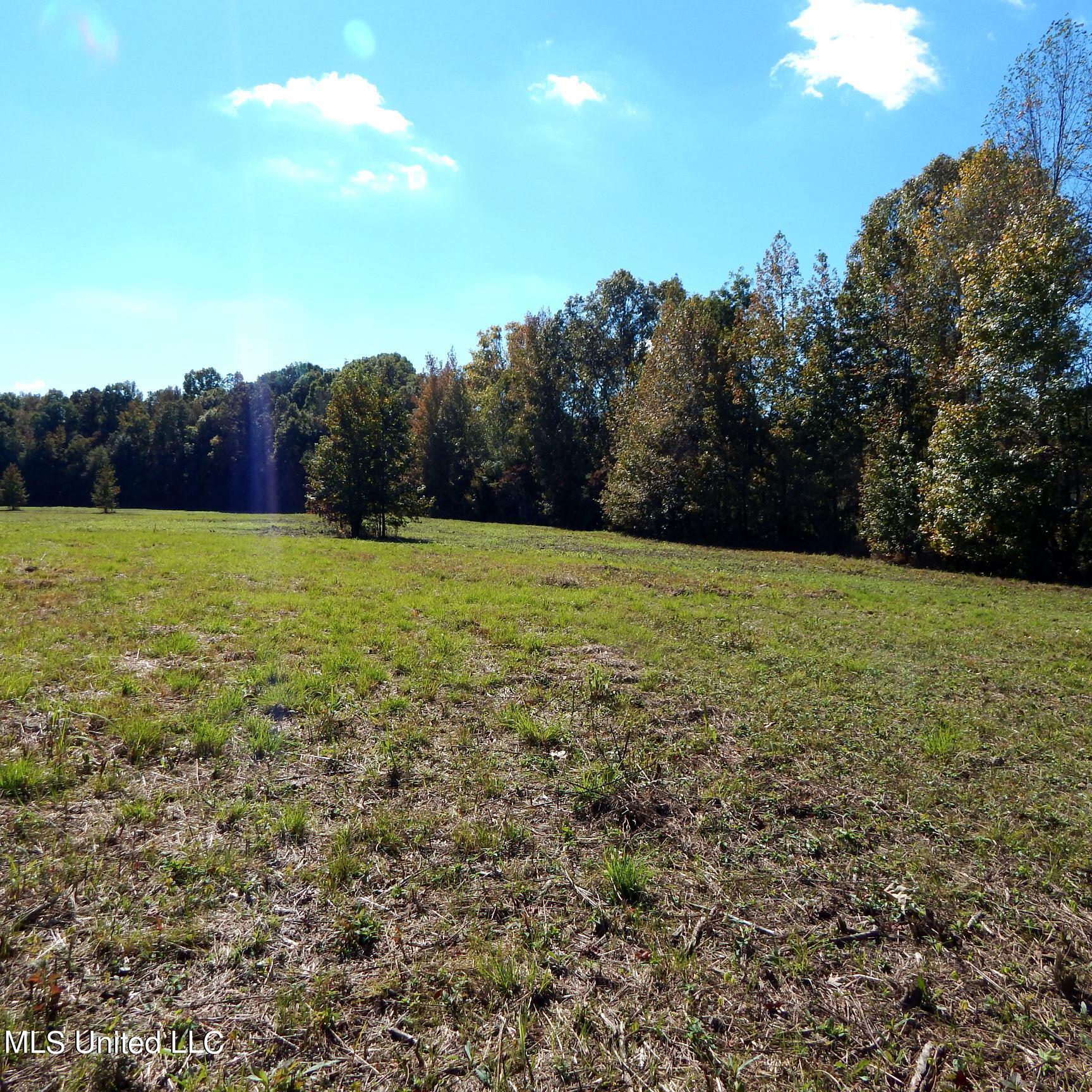 741 Jeff Sanders Road Batesville, MS 38606 - Photo 16 of 43 Jeff Sanders 108 017