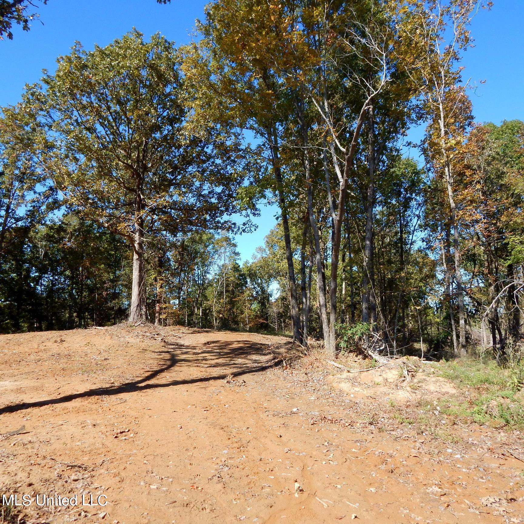 741 Jeff Sanders Road Batesville, MS 38606 - Photo 17 of 43 Jeff Sanders 108 018
