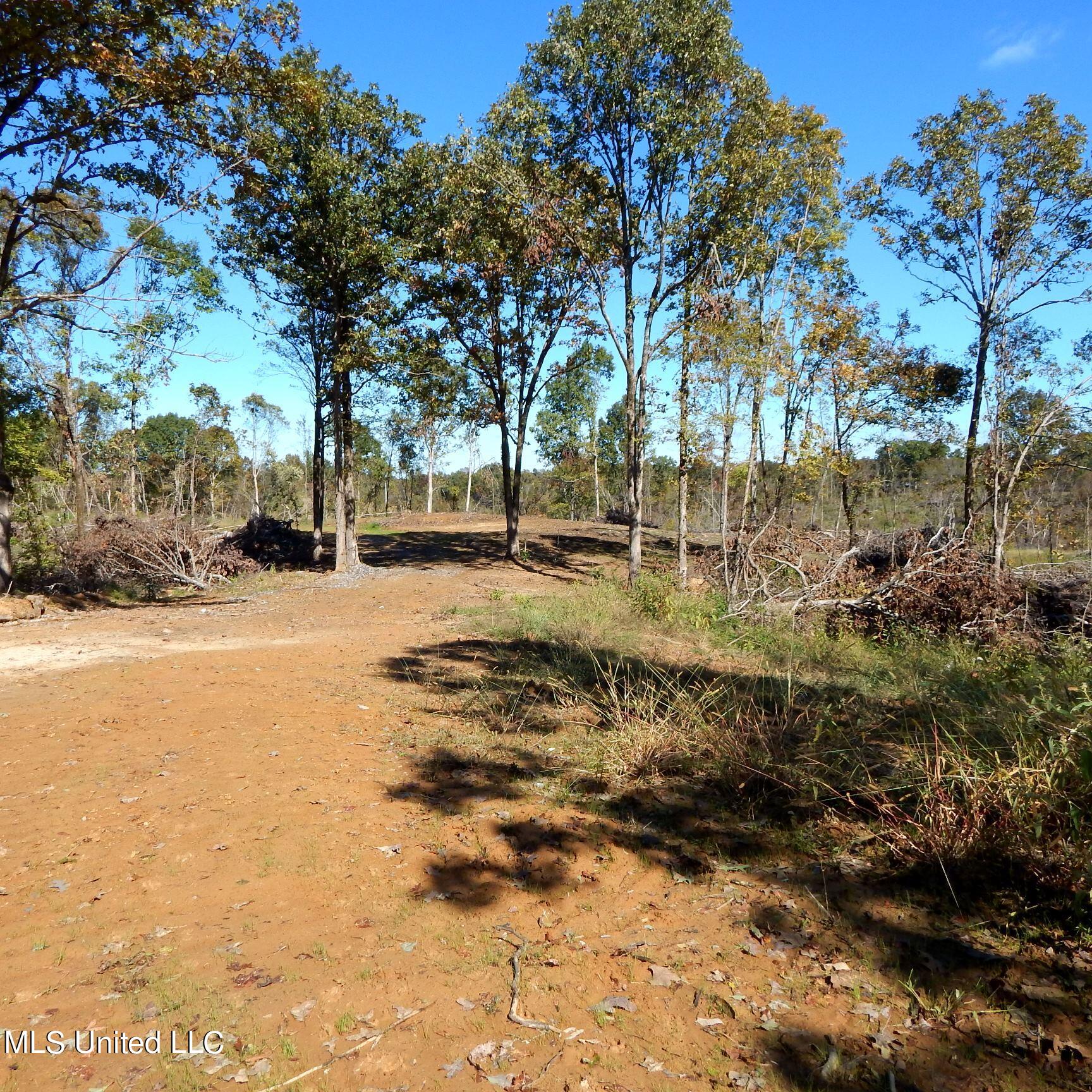 741 Jeff Sanders Road Batesville, MS 38606 - Photo 20 of 43 Jeff Sanders 108 020