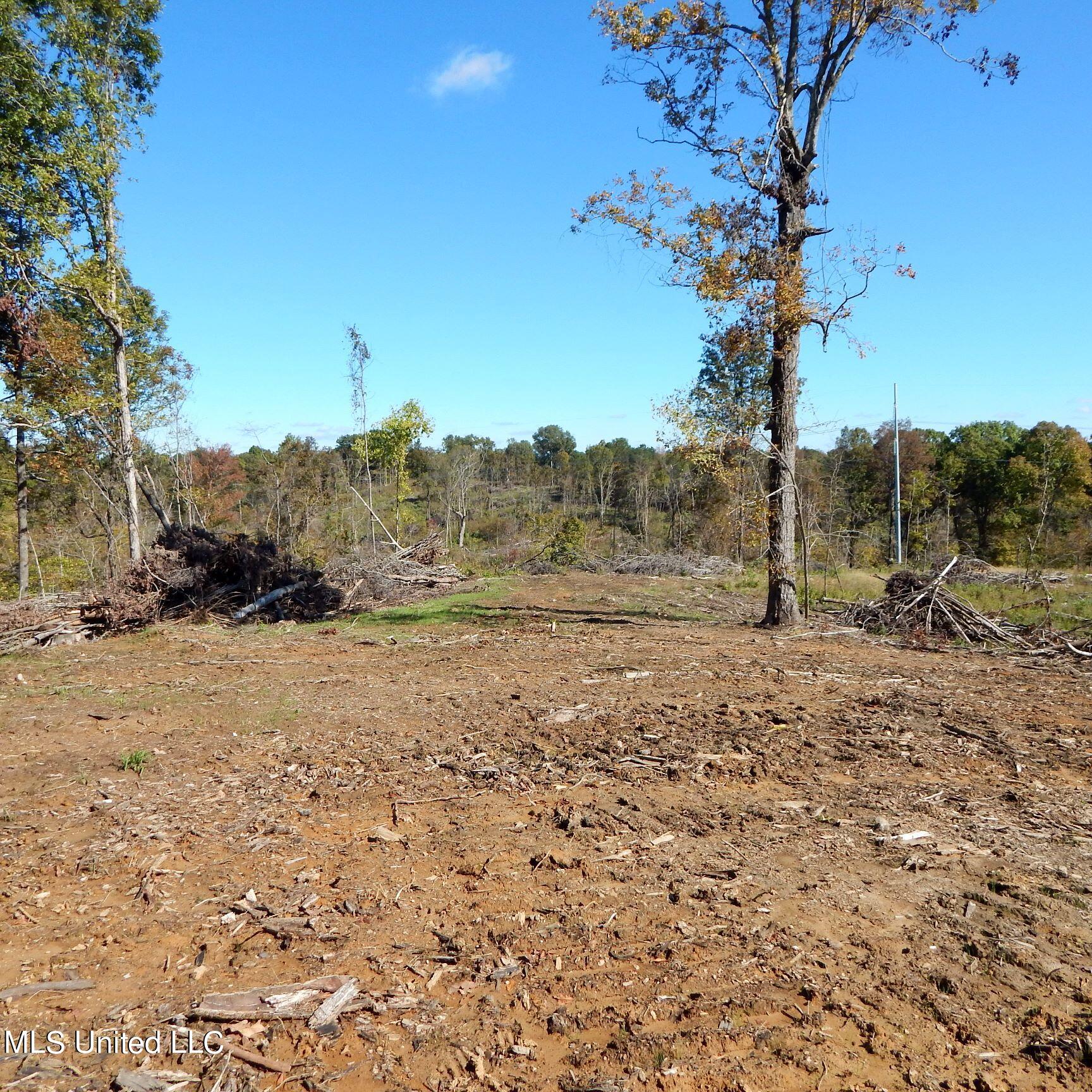 741 Jeff Sanders Road Batesville, MS 38606 - Photo 21 of 43 Jeff Sanders 108 021