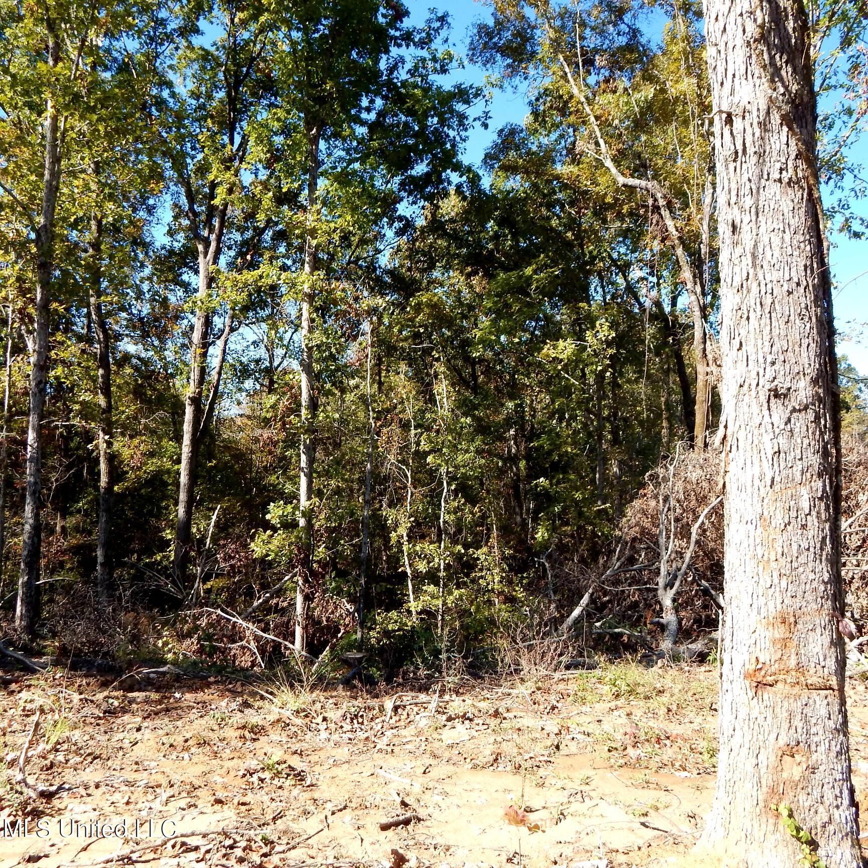 741 Jeff Sanders Road Batesville, MS 38606 - Photo 23 of 43 Jeff Sanders 108 024