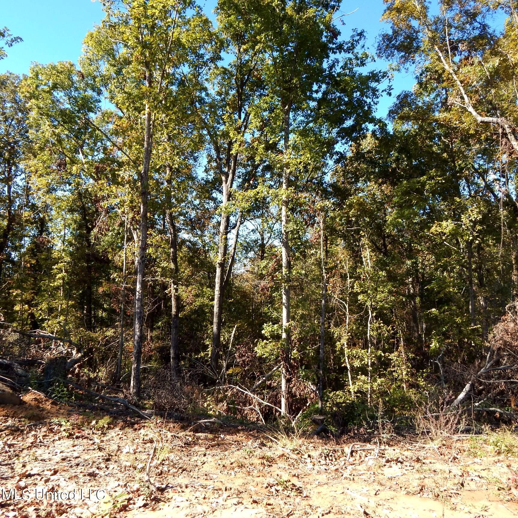 741 Jeff Sanders Road Batesville, MS 38606 - Photo 24 of 43 Jeff Sanders 108 025