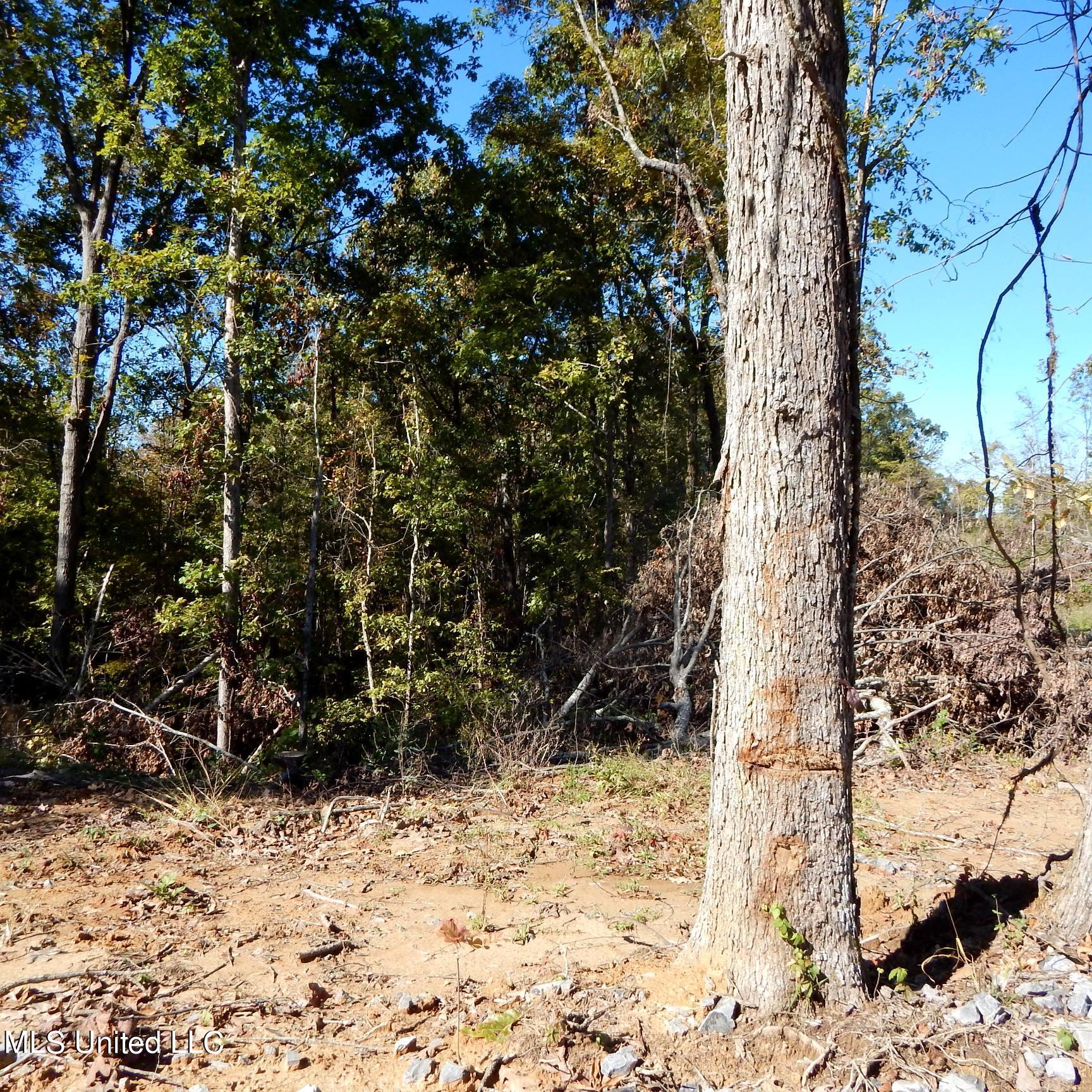 741 Jeff Sanders Road Batesville, MS 38606 - Photo 25 of 43 Jeff Sanders 108 026