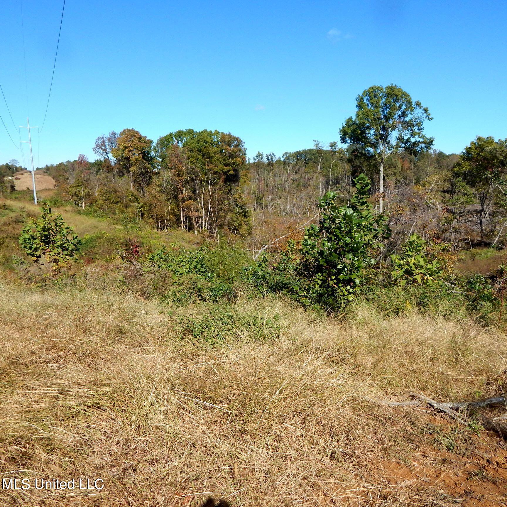 741 Jeff Sanders Road Batesville, MS 38606 - Photo 27 of 43 Jeff Sanders 108 030