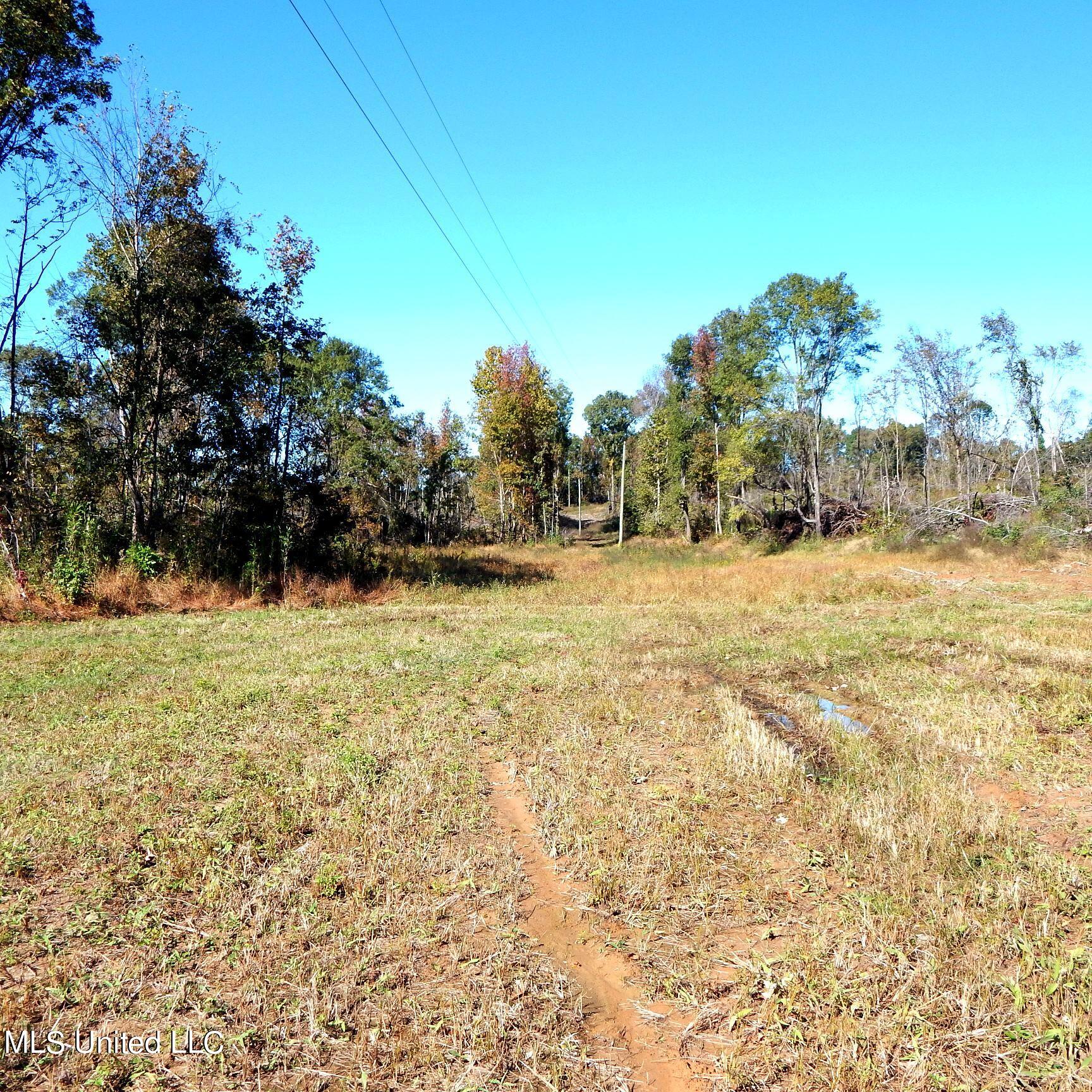 741 Jeff Sanders Road Batesville, MS 38606 - Photo 28 of 43 Jeff Sanders 108 031