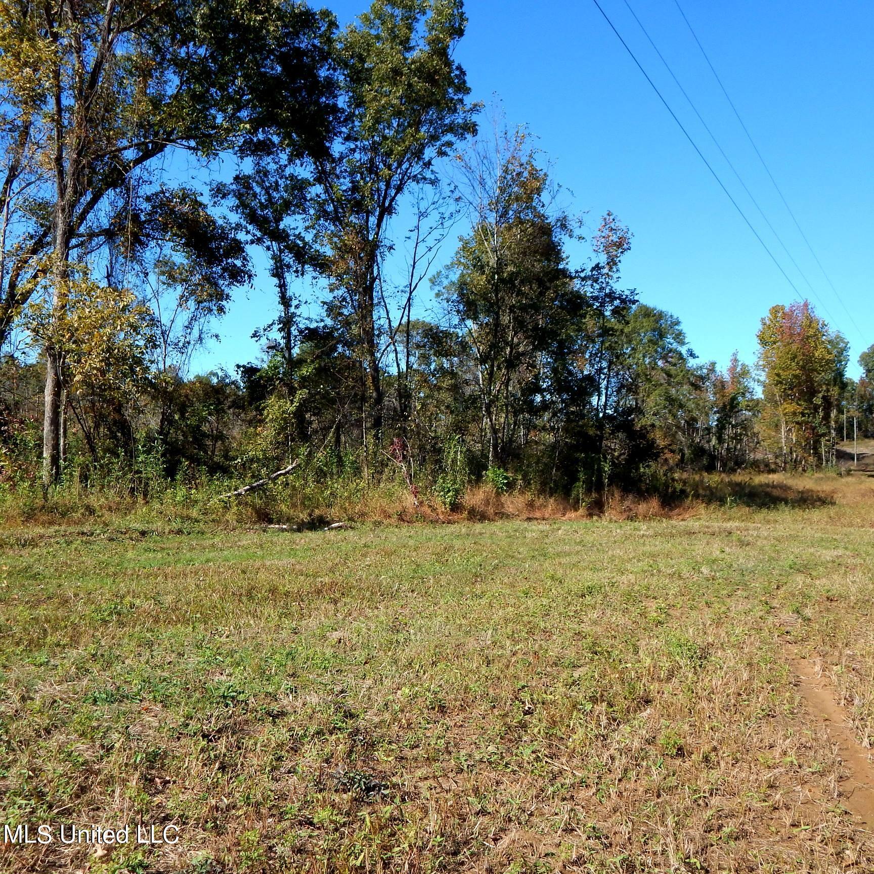 741 Jeff Sanders Road Batesville, MS 38606 - Photo 29 of 43 Jeff Sanders 108 032