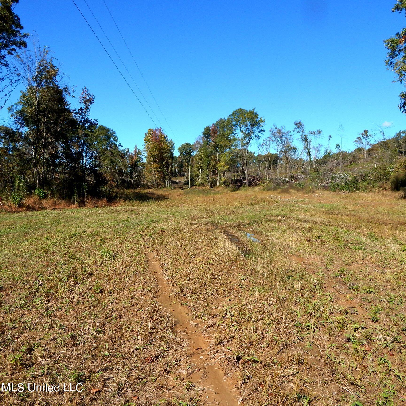 741 Jeff Sanders Road Batesville, MS 38606 - Photo 30 of 43 Jeff Sanders 108 033