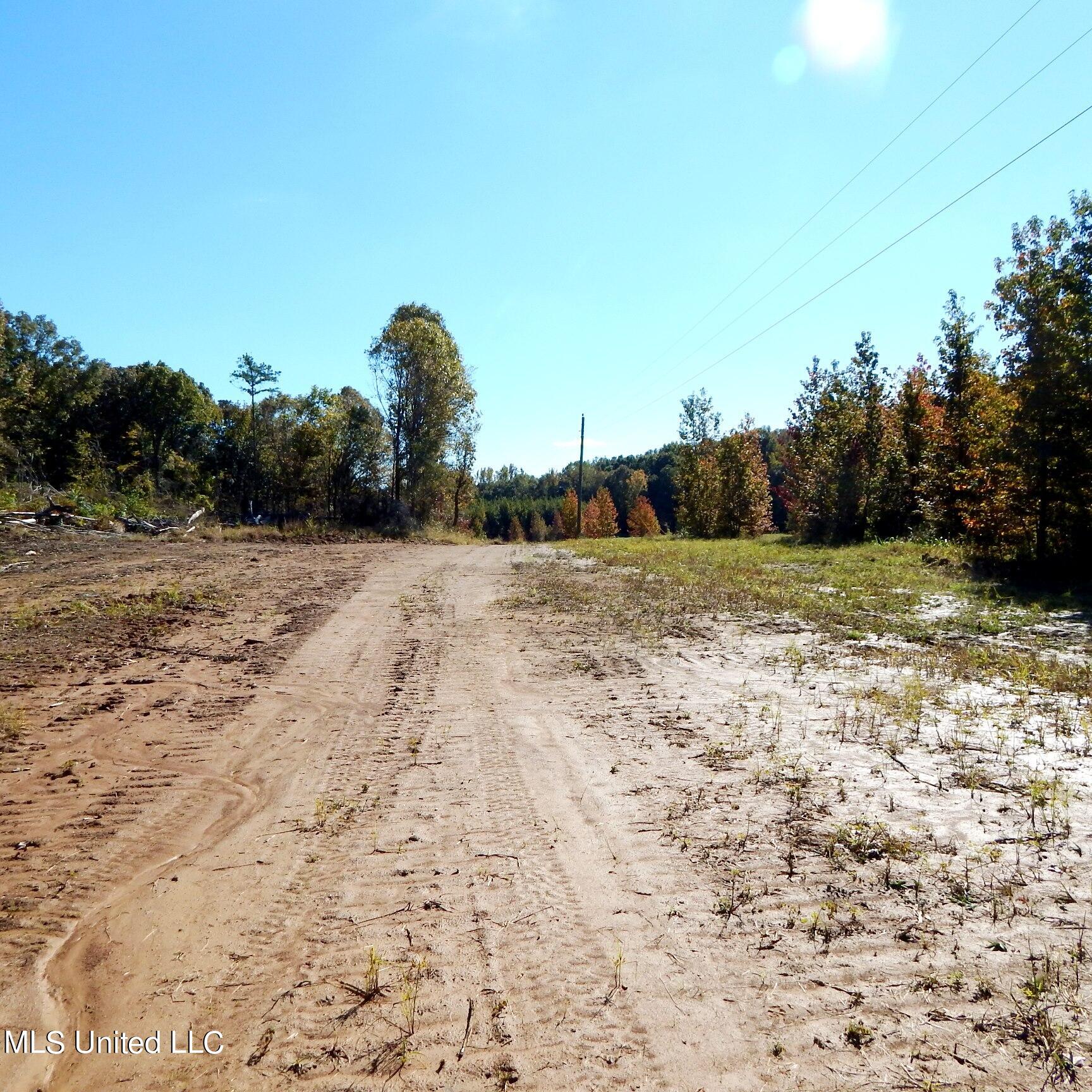 741 Jeff Sanders Road Batesville, MS 38606 - Photo 31 of 43 Jeff Sanders 108 034