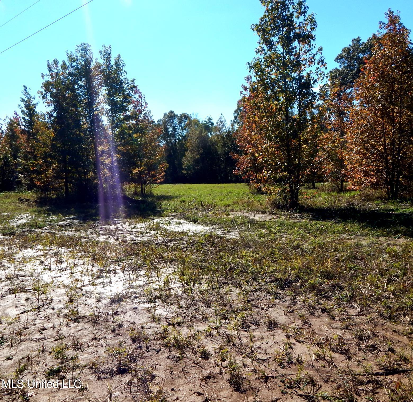 741 Jeff Sanders Road Batesville, MS 38606 - Photo 32 of 43 Jeff Sanders 108 035