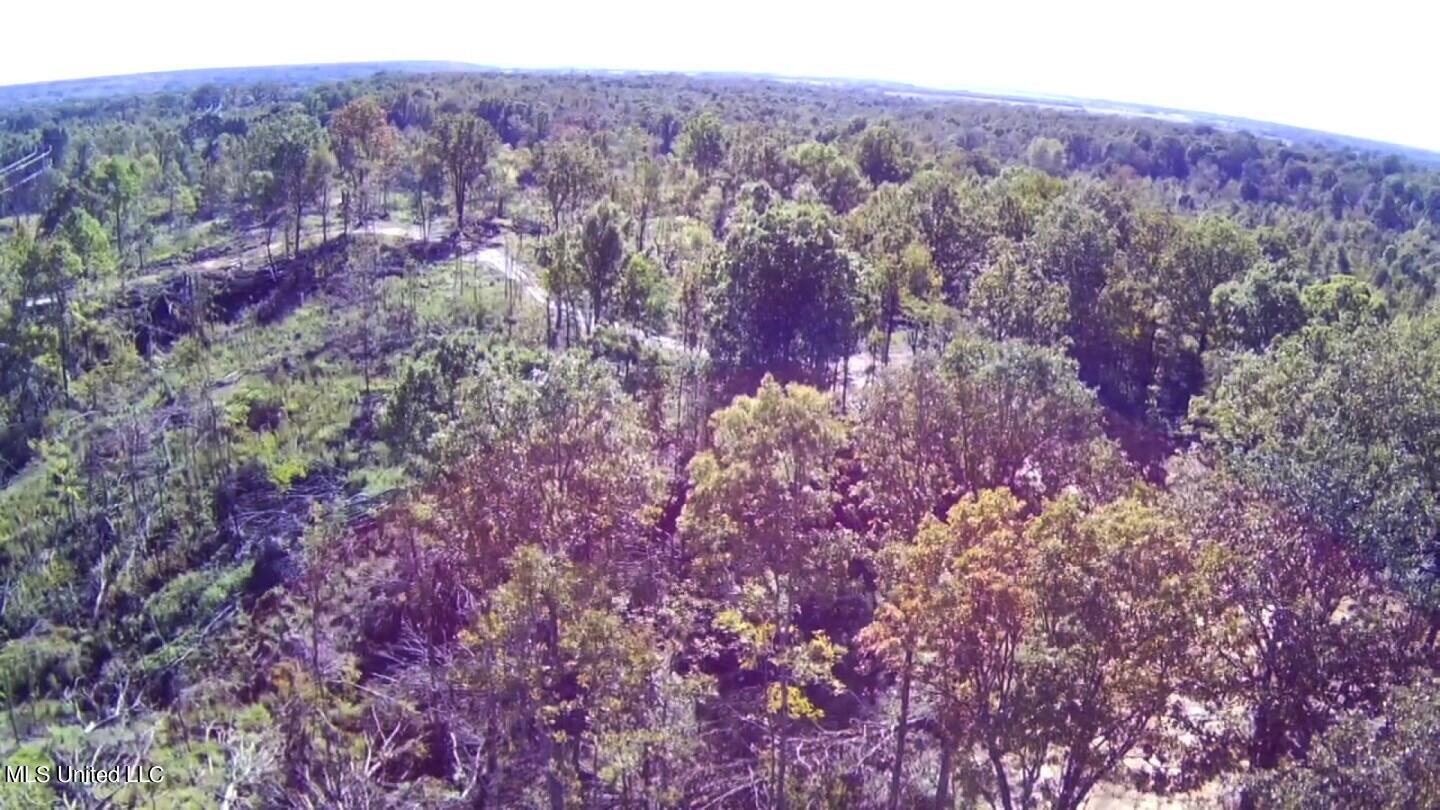 741 Jeff Sanders Road Batesville, MS 38606 - Photo 35 of 43 r